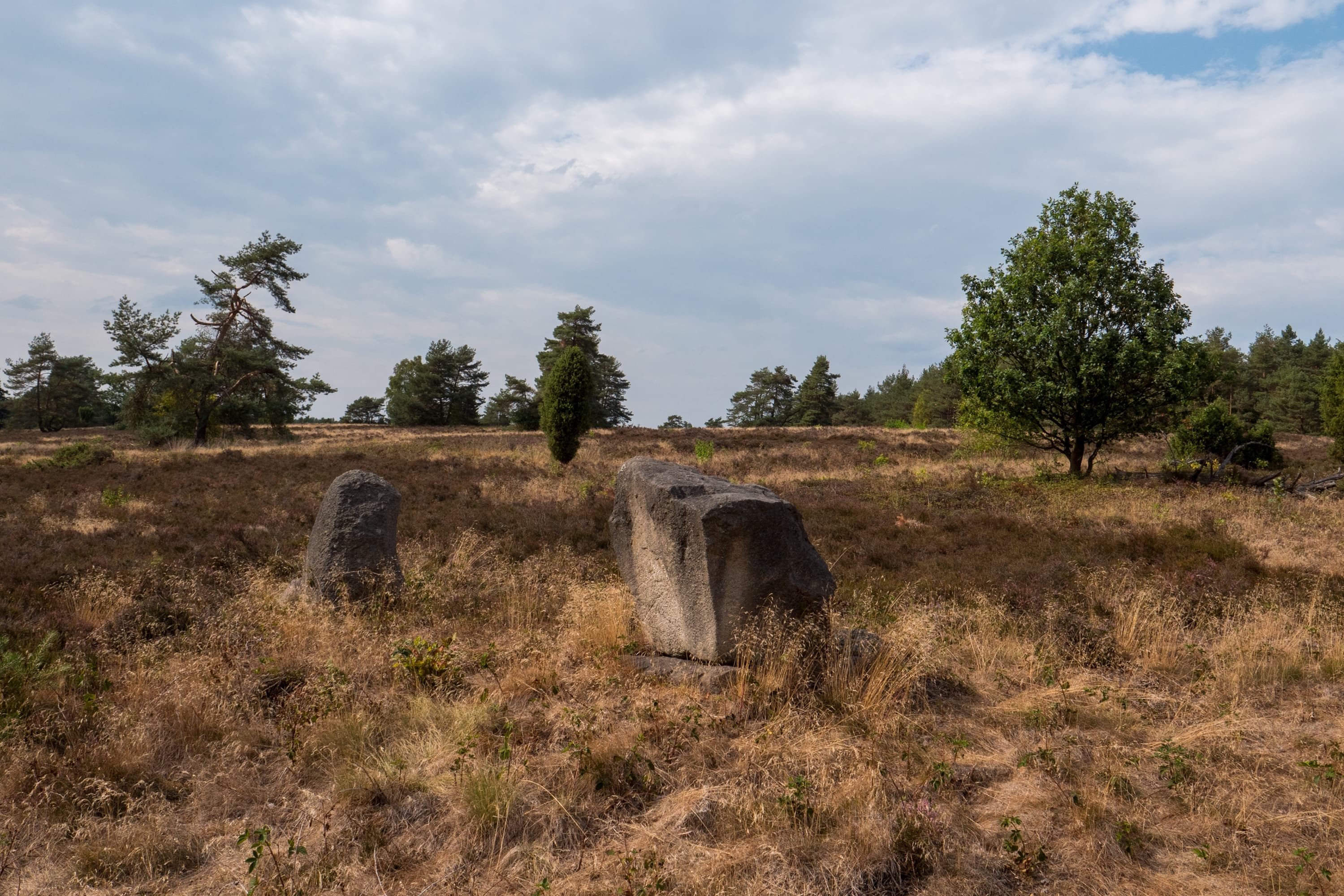 Lutterloh, Geburtsort des Kaisers Lothar III