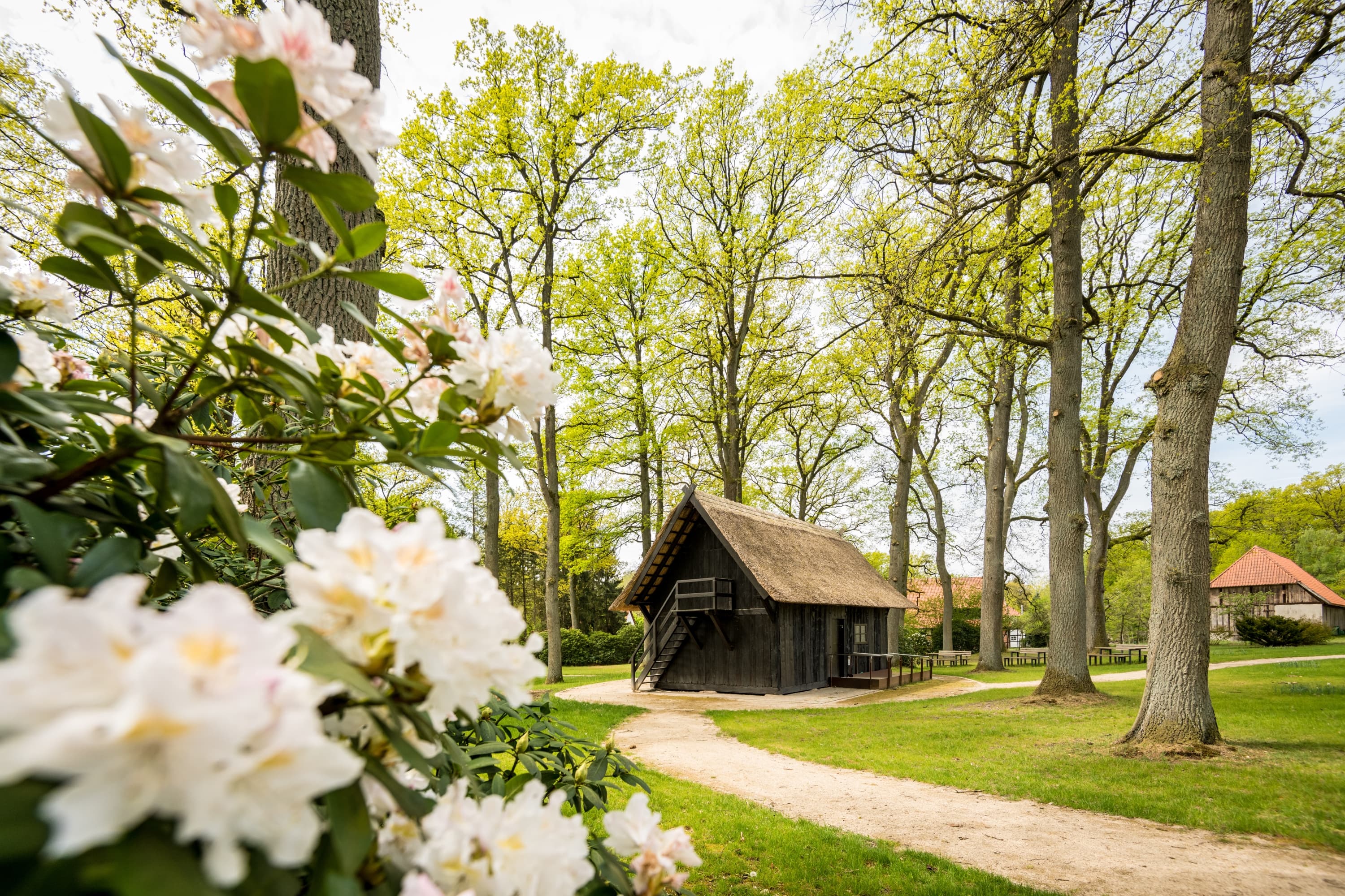 Lutterloh Suedheide Treppenspeicher