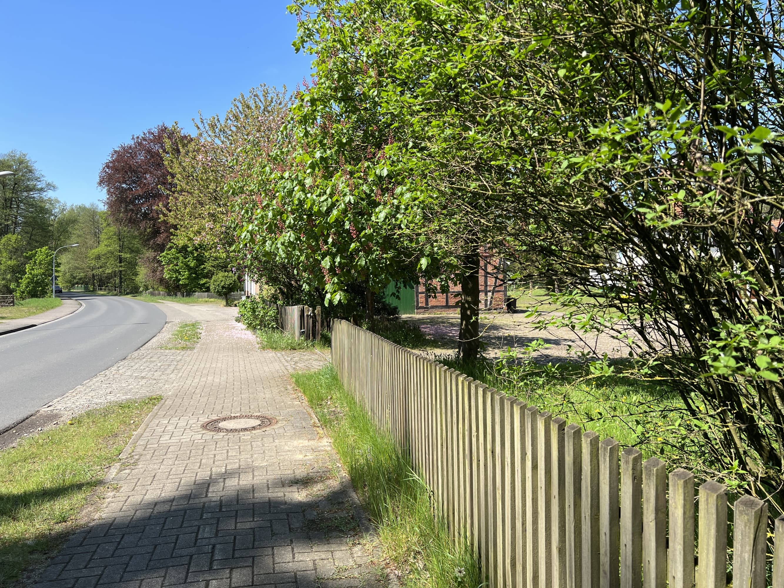 Lutterloh, Geburtsort des Kaisers Lothar III