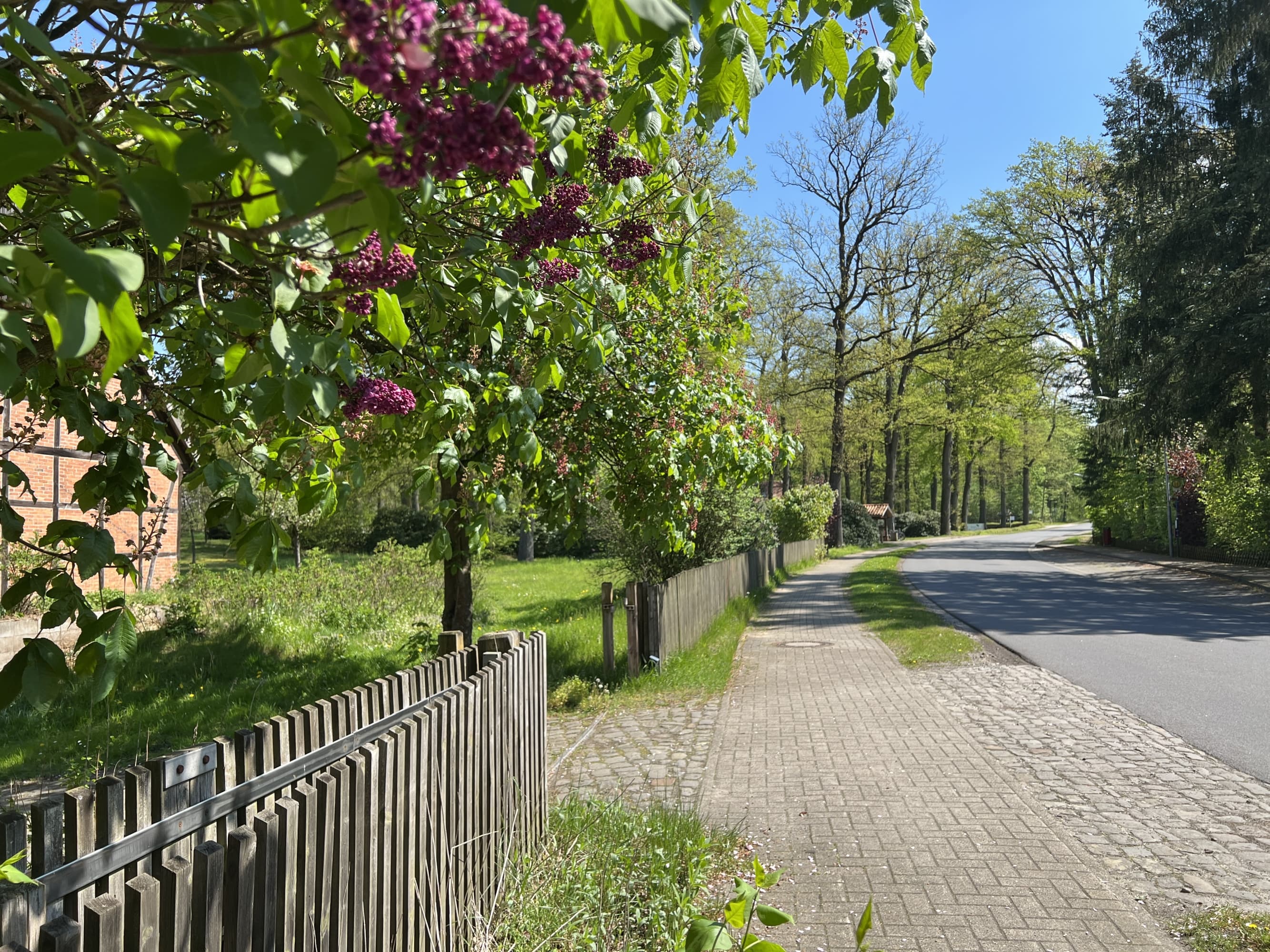 Lutterloh, Geburtsort des Kaisers Lothar III