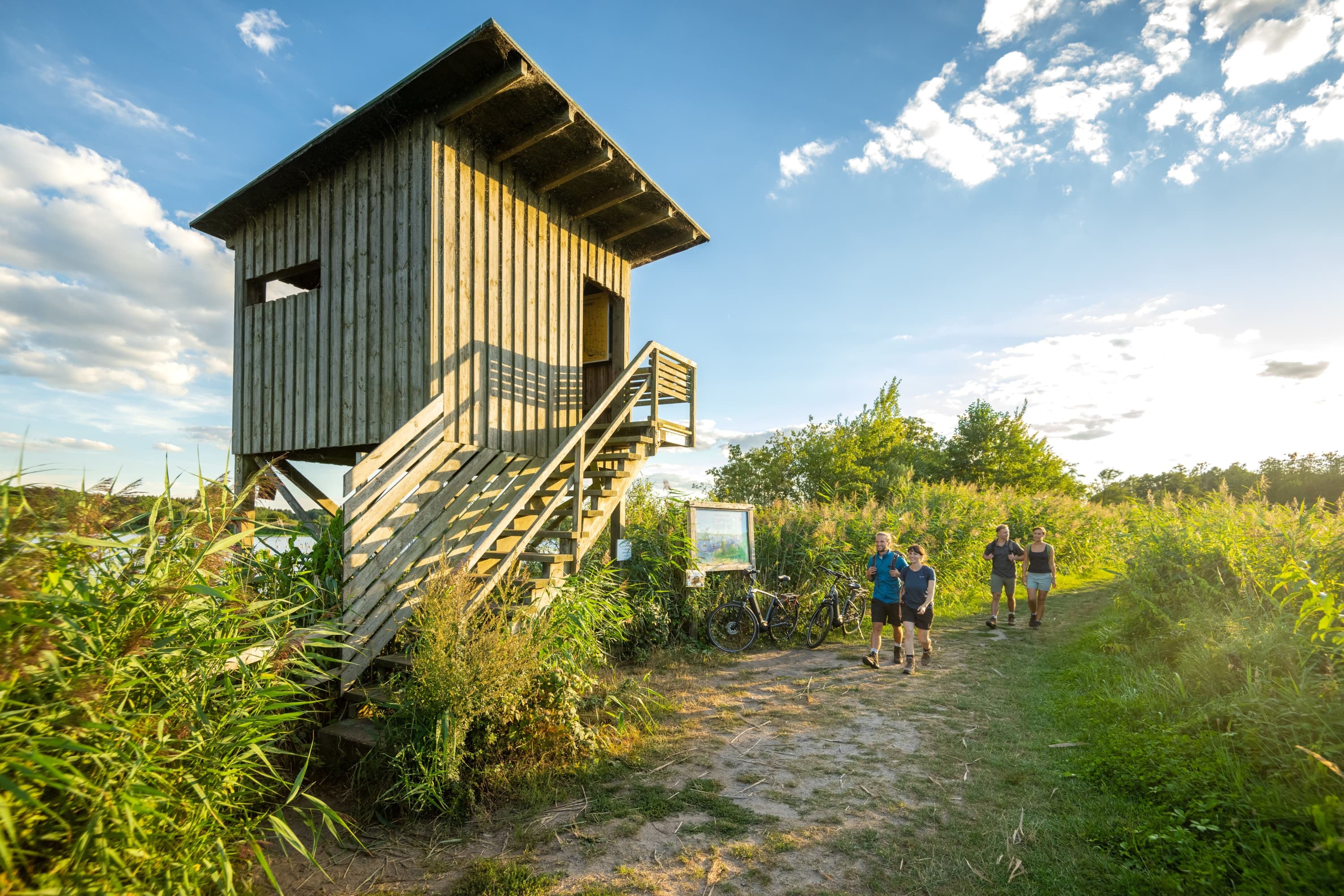 Meissendorf Meissendorfer Teiche Wandern