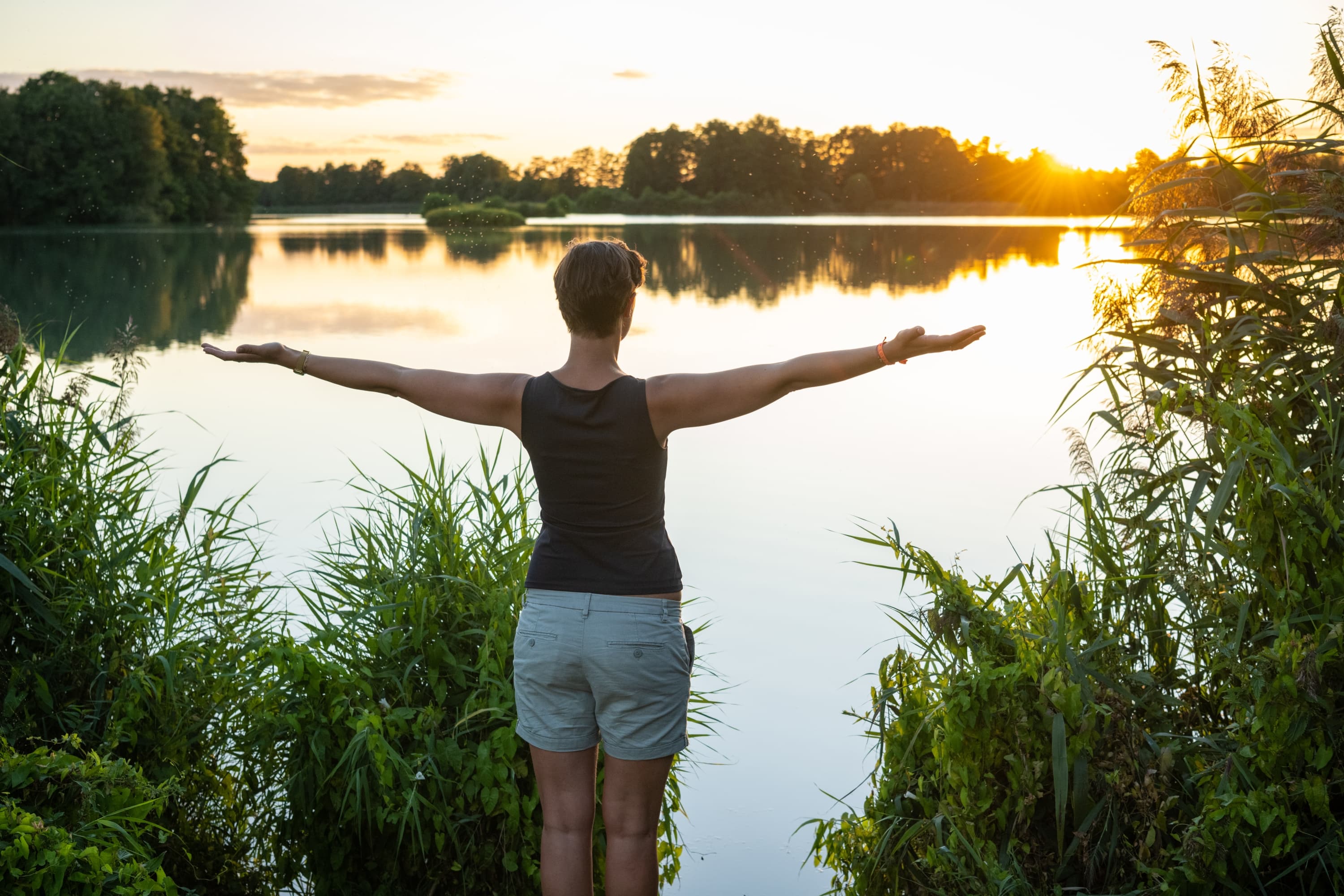 Meissendorf Meissendorfer Teiche