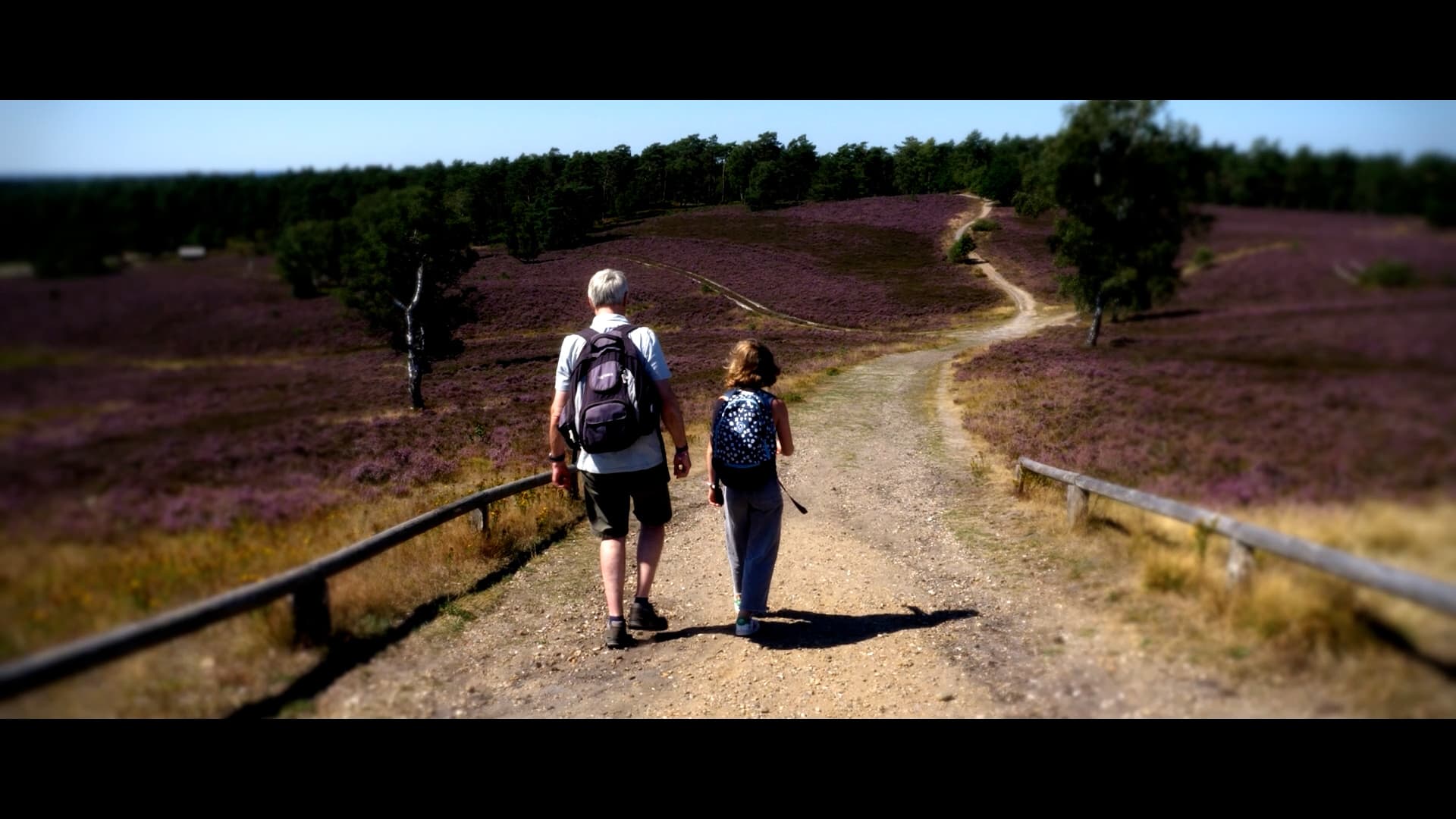 Brunsberg, Heide, Amalia, Opa, Wanderweg