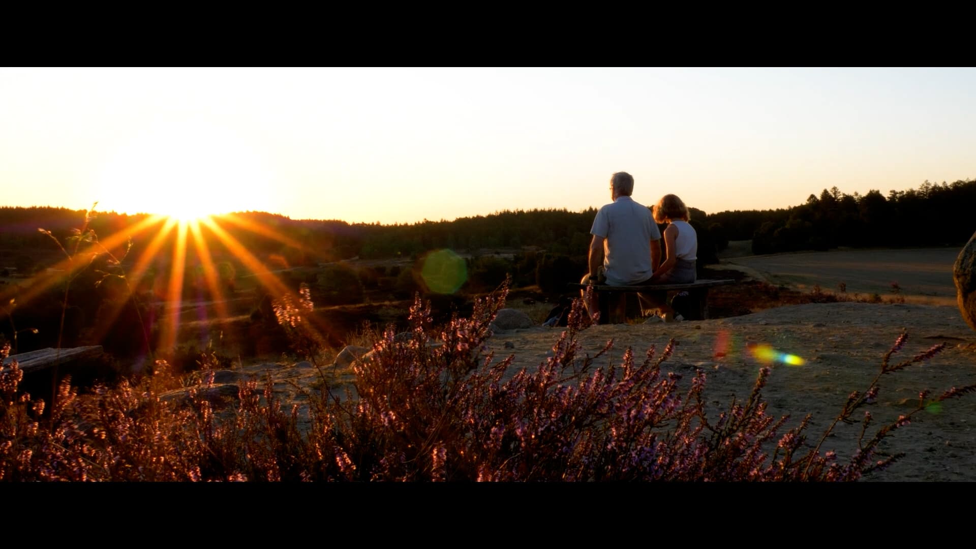 Turmberg, Bank, Heide, Amalia