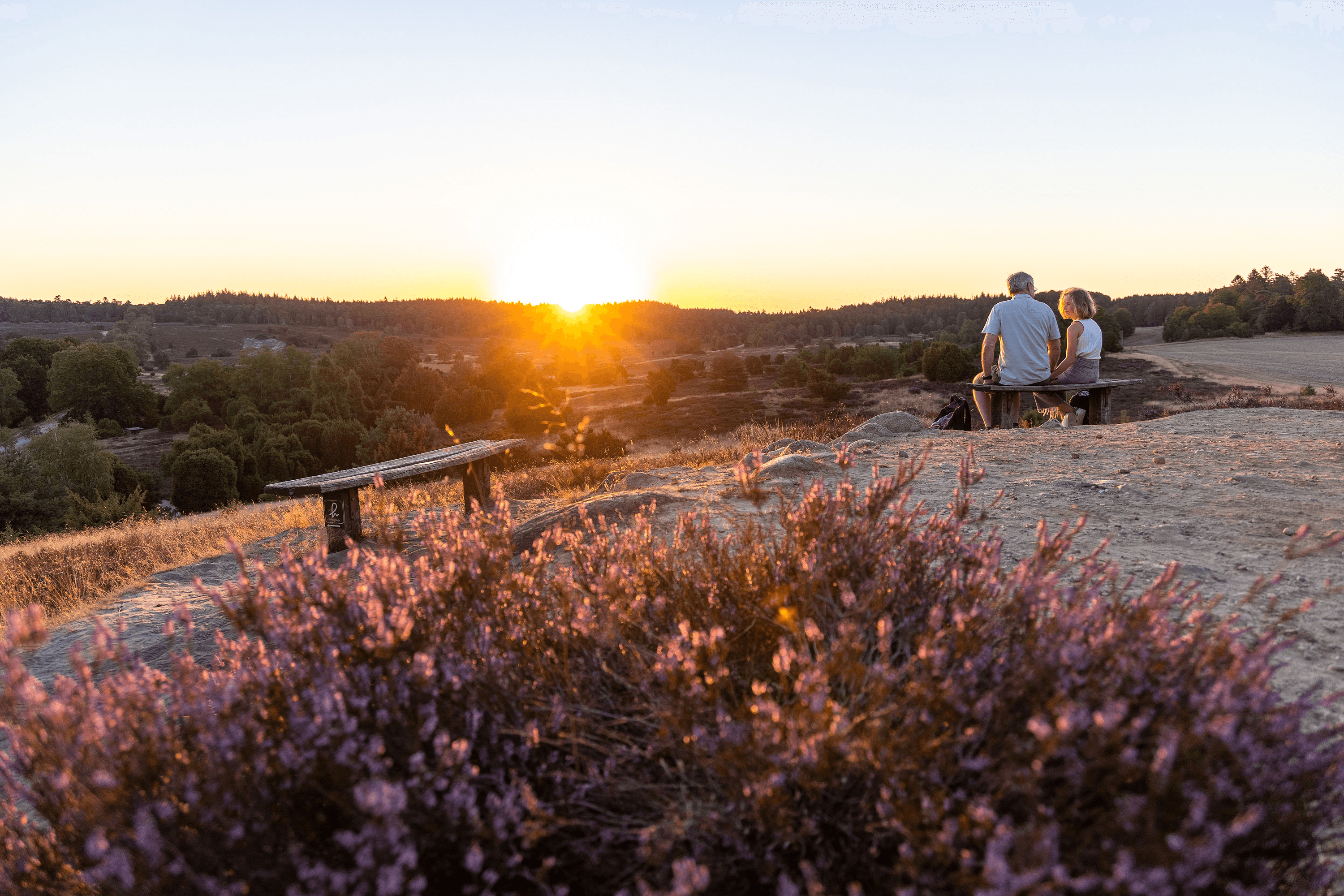 Wanderung zum Turmberg in der Lüneburger Heide