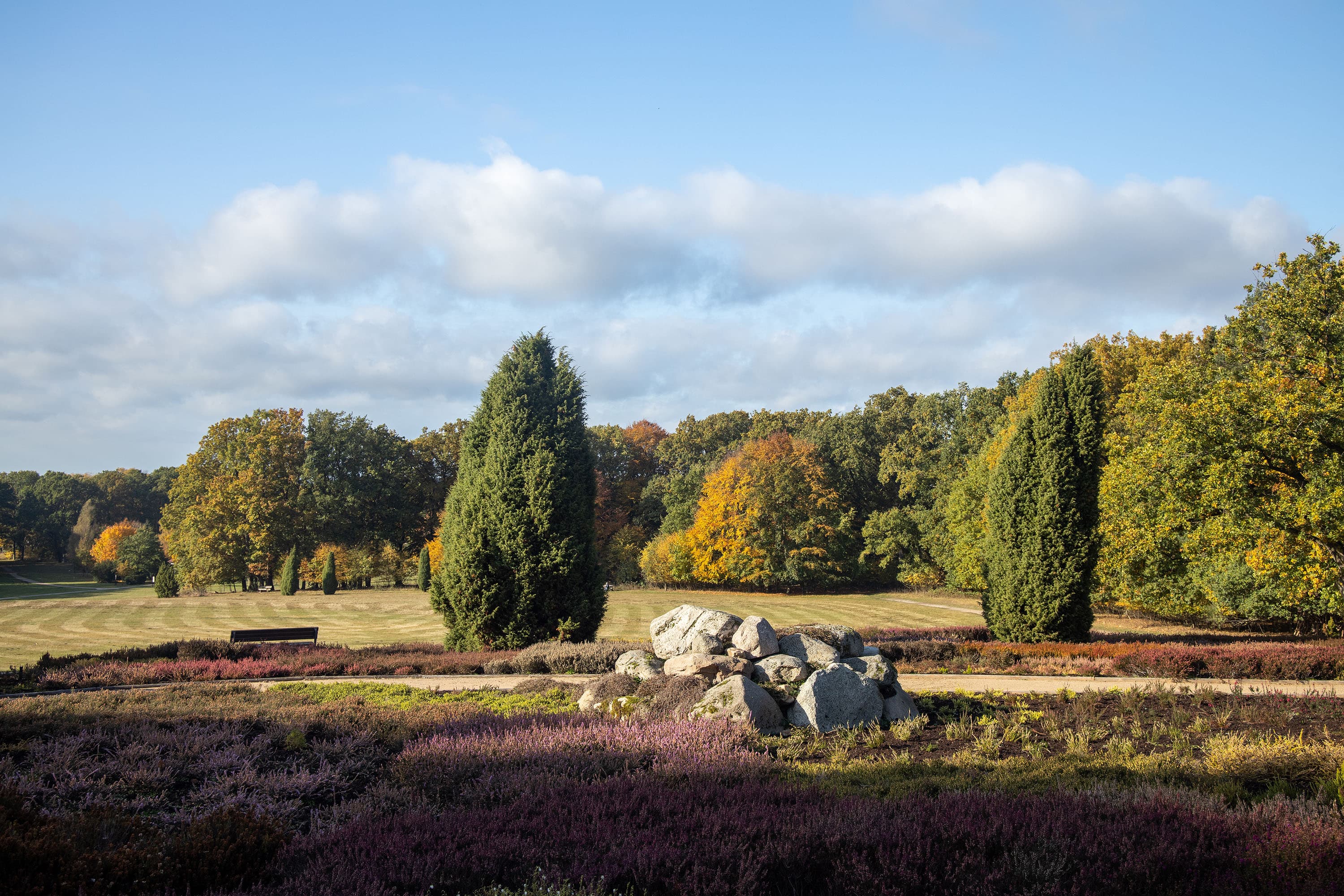 Der Heidegarten Schneverdingen beherbergt viele sorten der calluna und erika