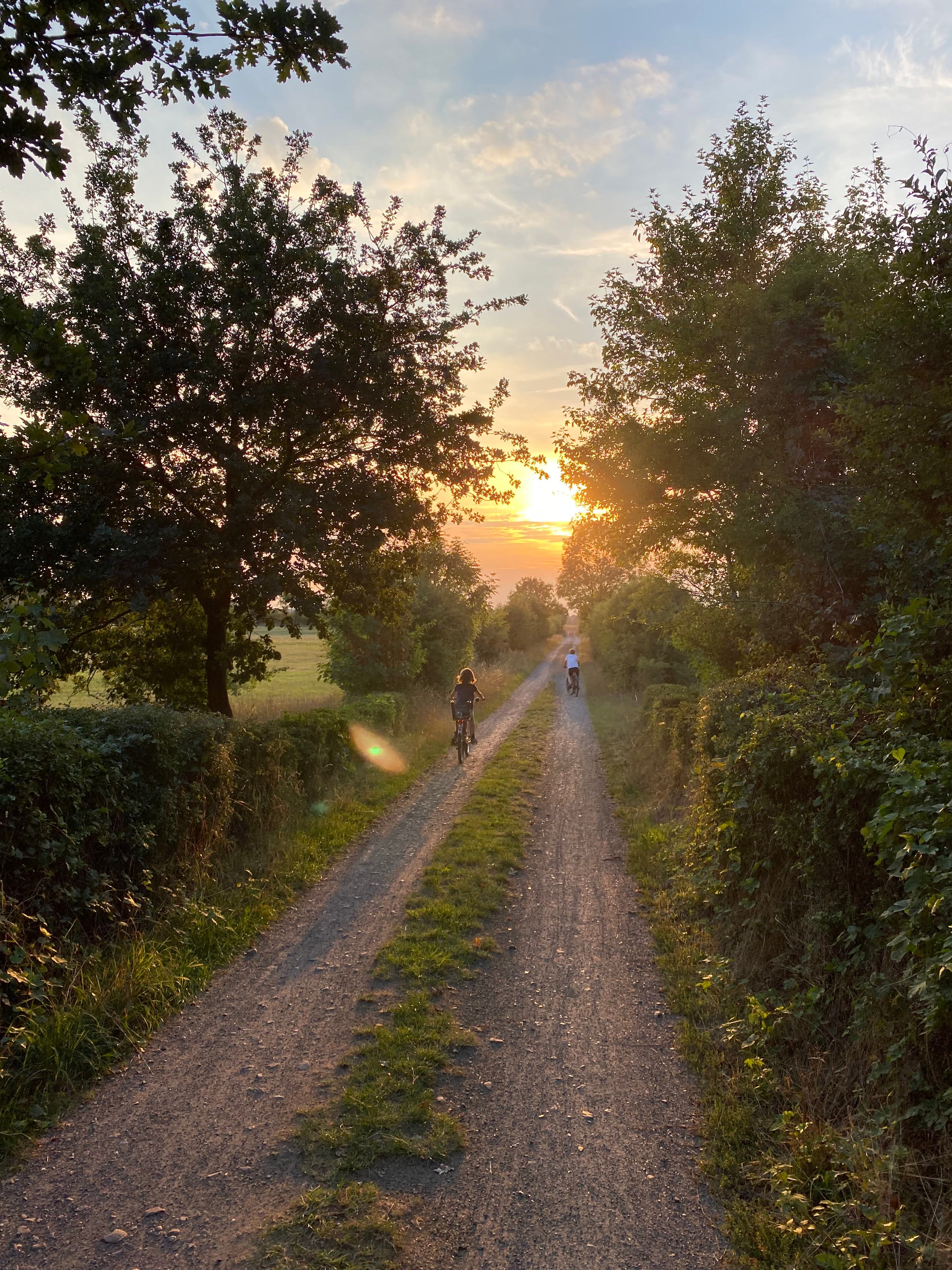Radfahren Ferienhaus Bothmer Schwarmstedt