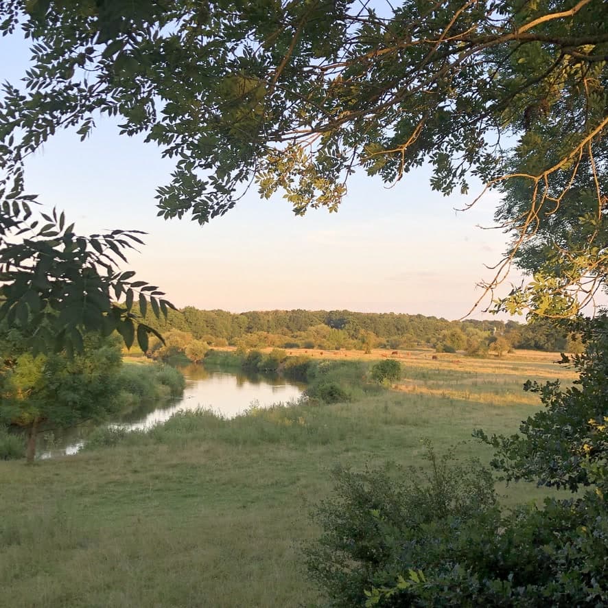 Leine bei dem Ferienhaus Bothmer Schwarmstedt
