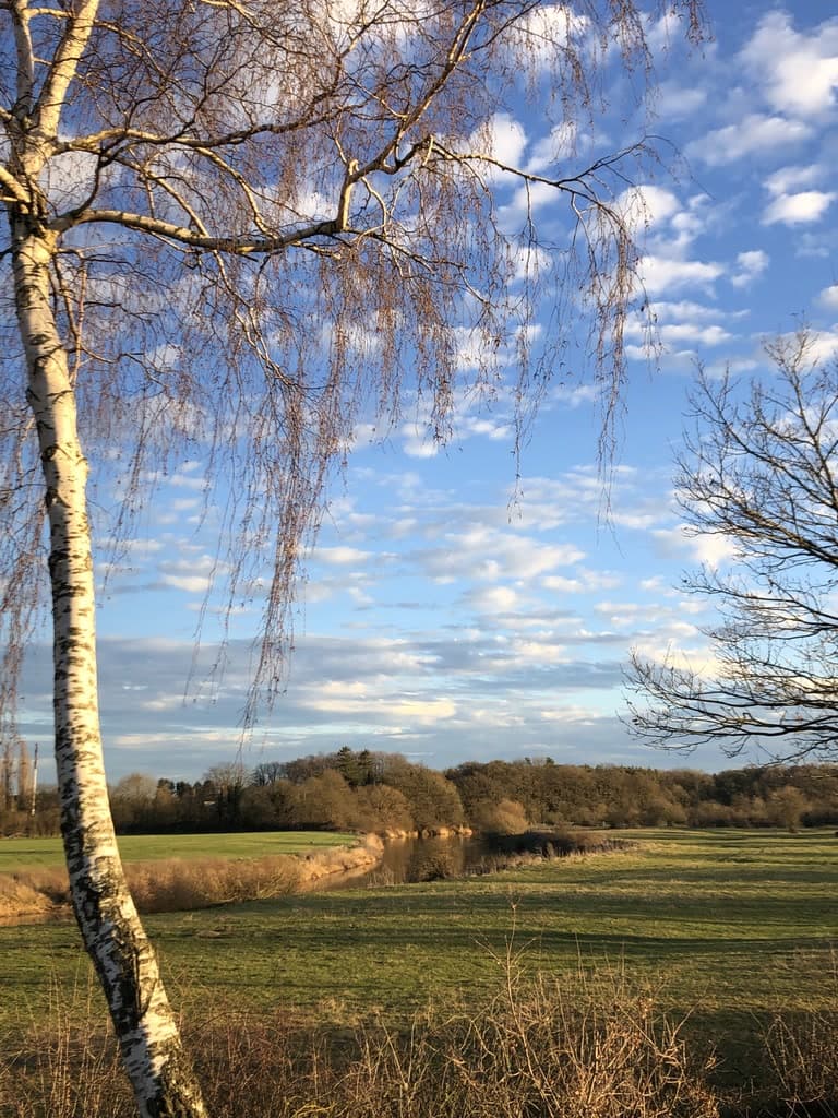 Leine Ferienhaus Bothmer Schwarmstedt