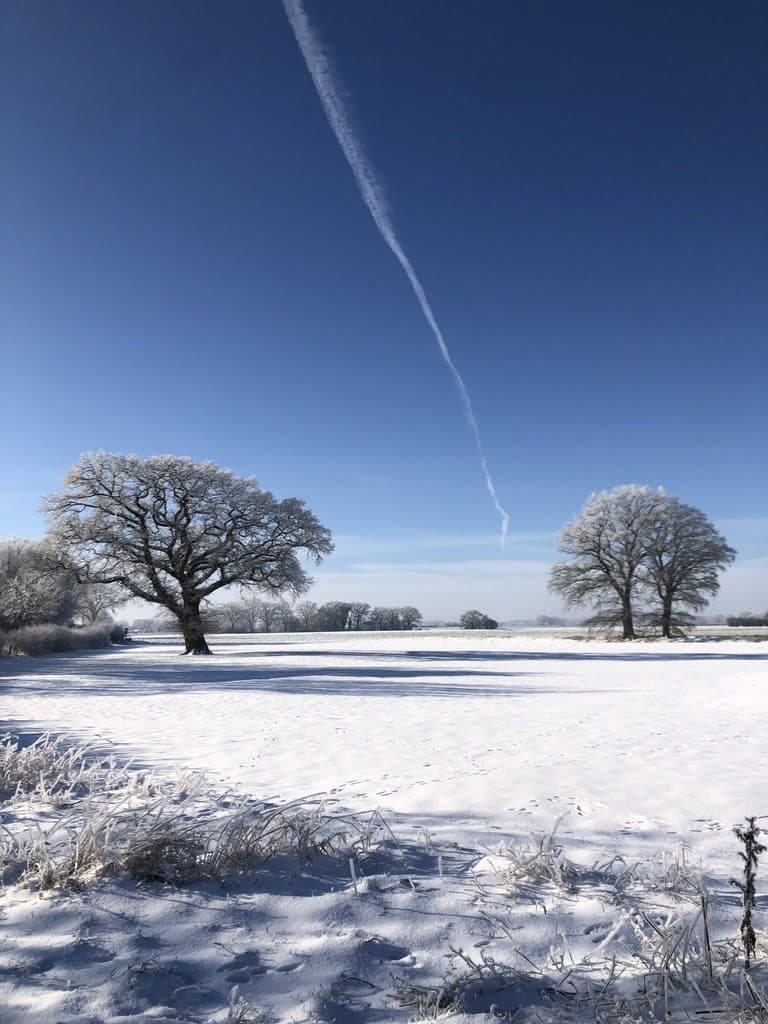 Winterruhe Ferienhaus Bothmer Schwarmstedt