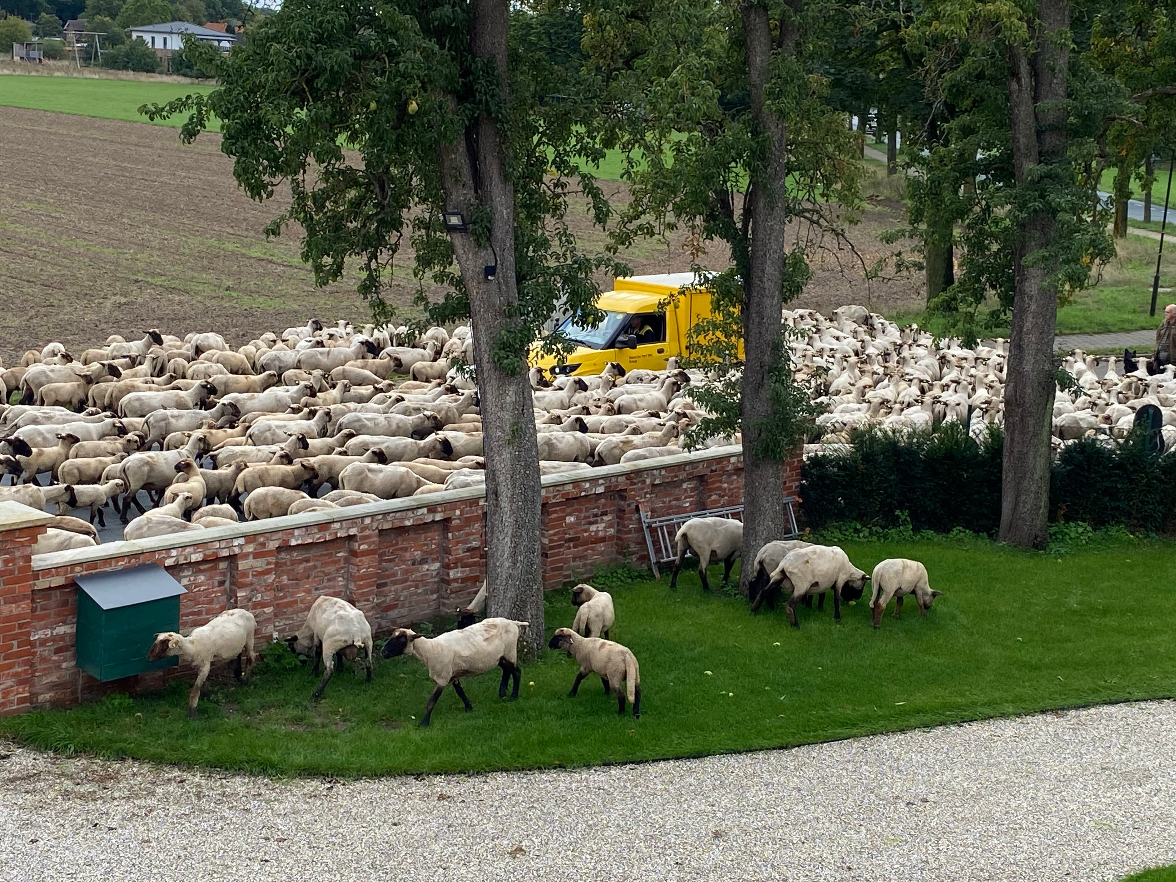 Schafsstau Ferienhaus Bothmer Schwarmstedt