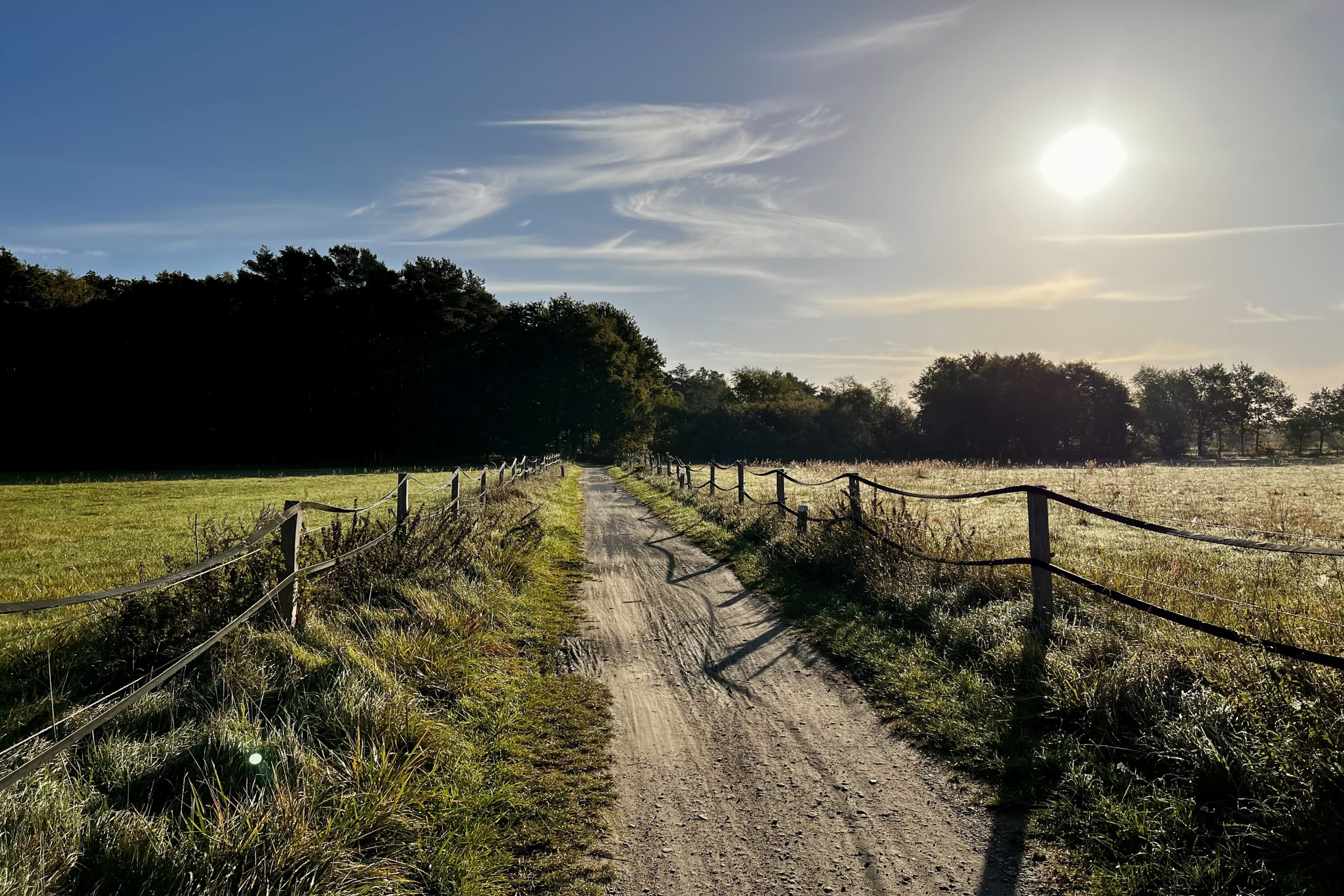 Aller-Radweg bei Bockelskamp