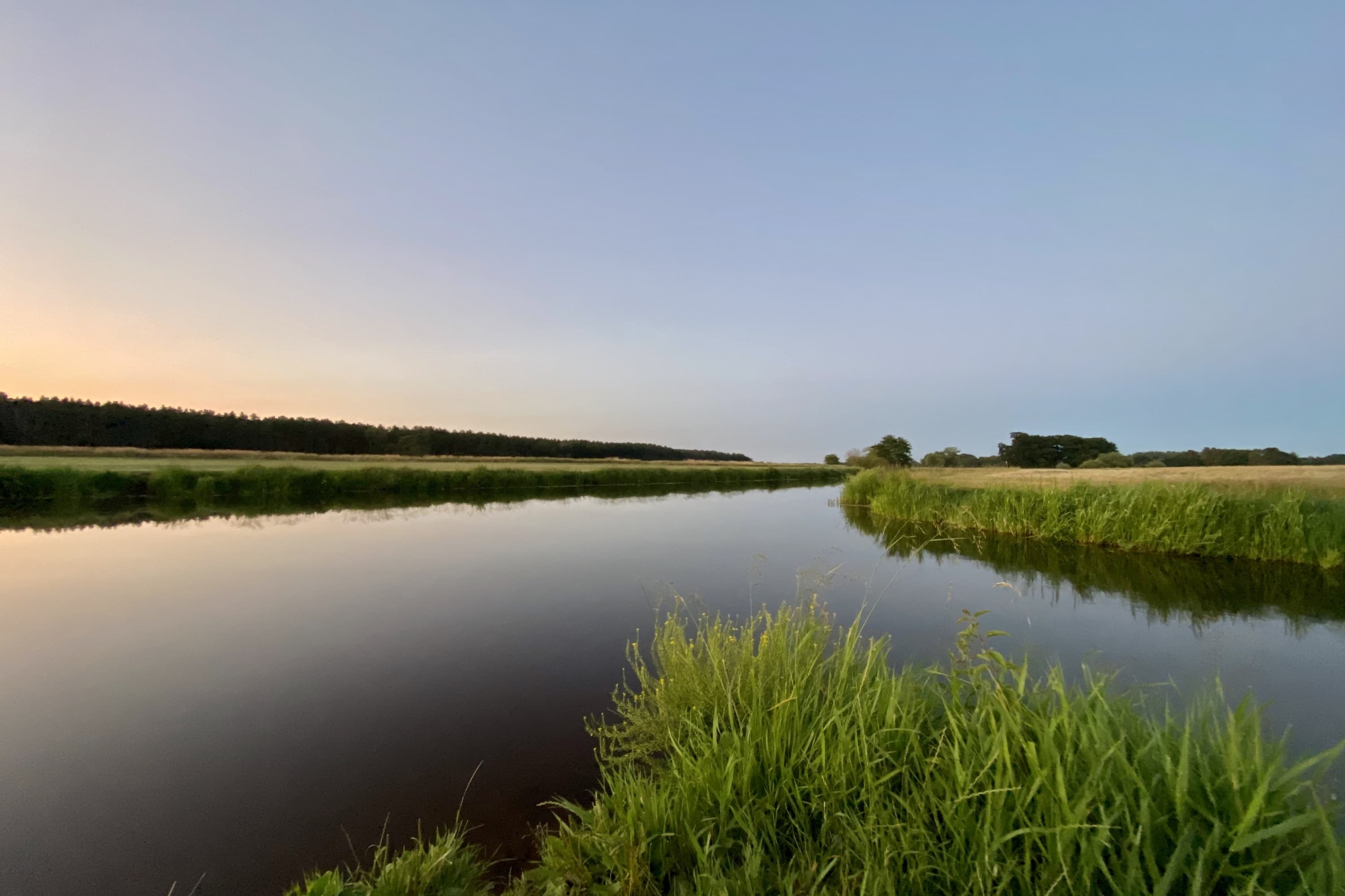 Allerwiesen bei Wienhausen