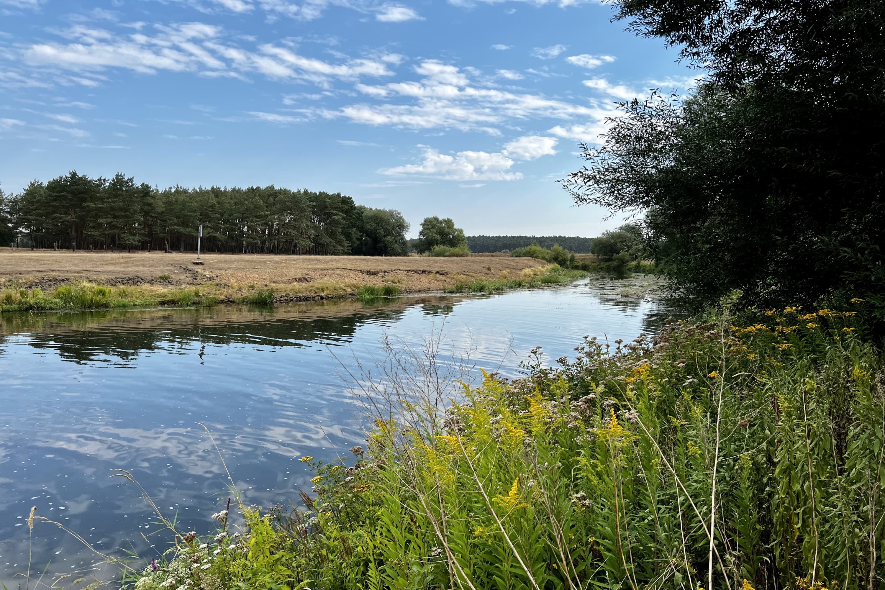 Wasserkraftwerk Aller Oldau Hambühren Südheide