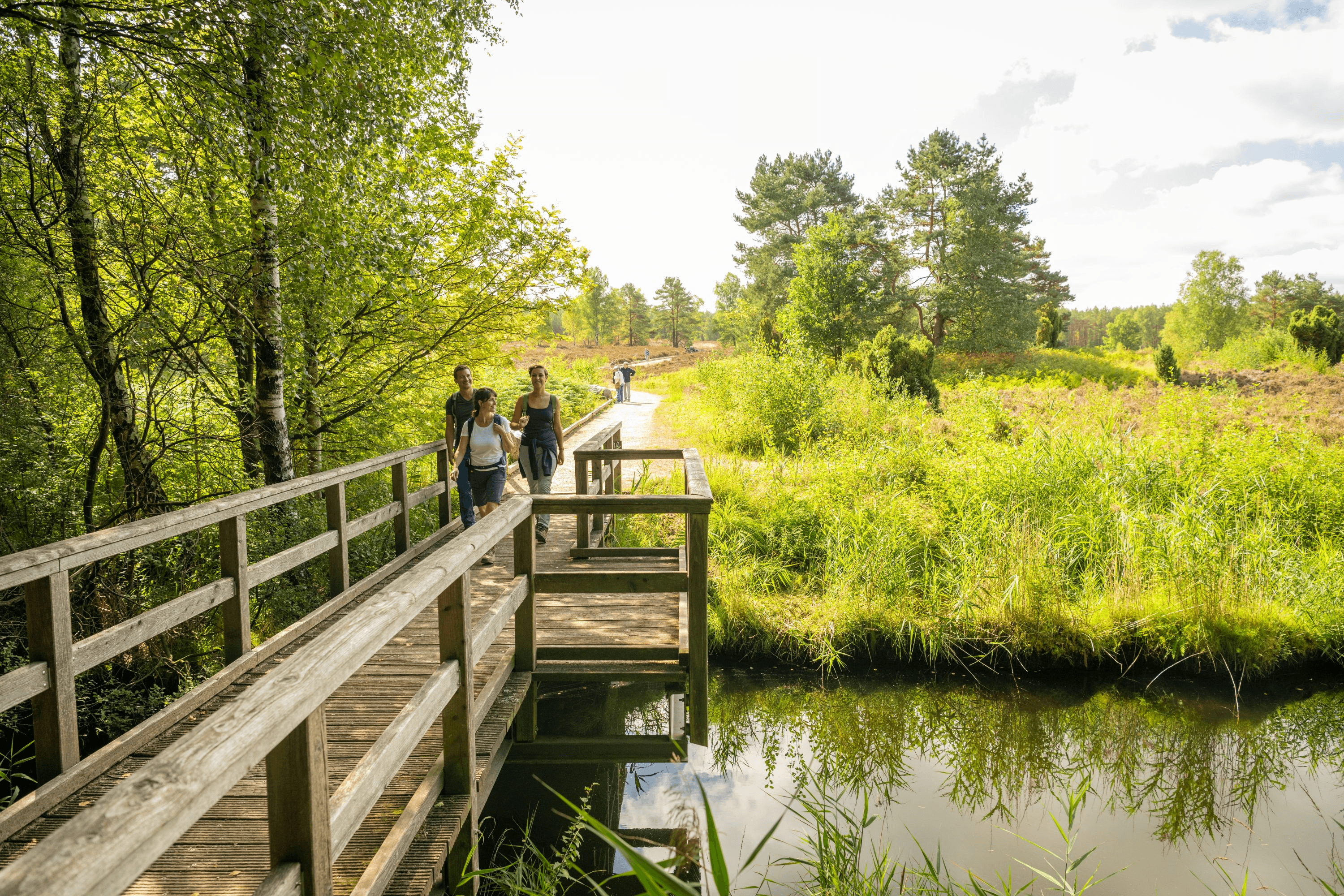 Wandern am Angelbecksteich bei Hermannsburg Südheide