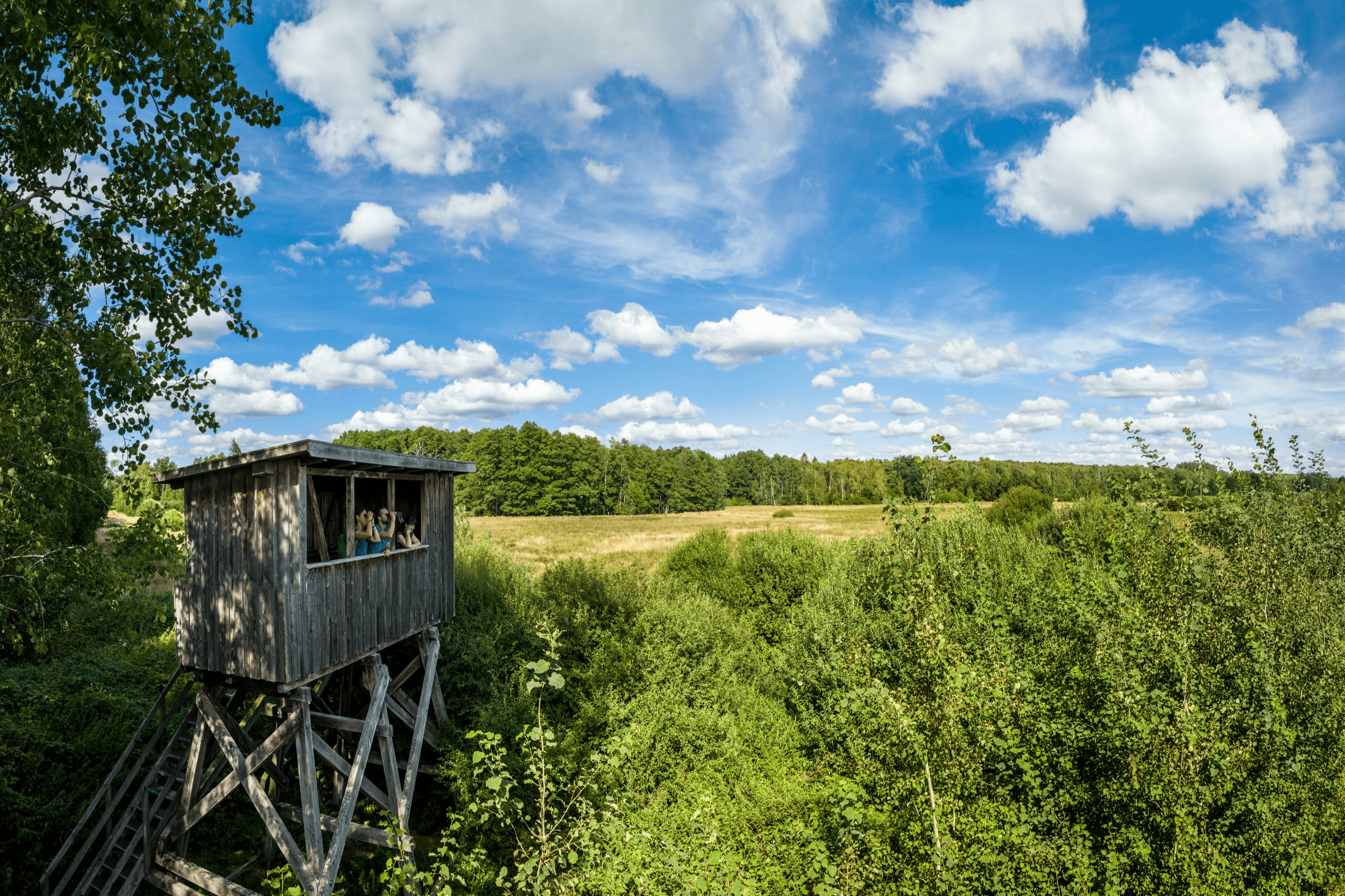 Aussichtsturm Postmoor Eldingen Südheide