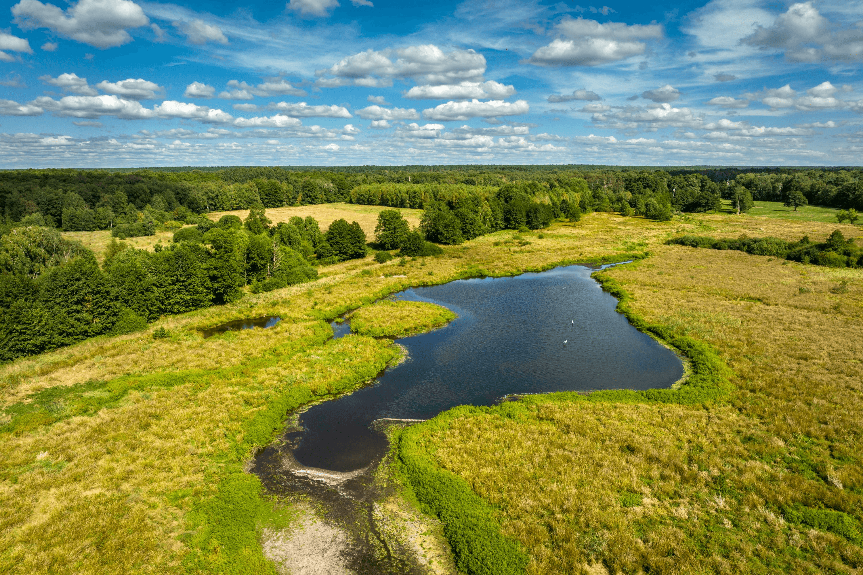 Postmoor Eldingen Südheide von oben