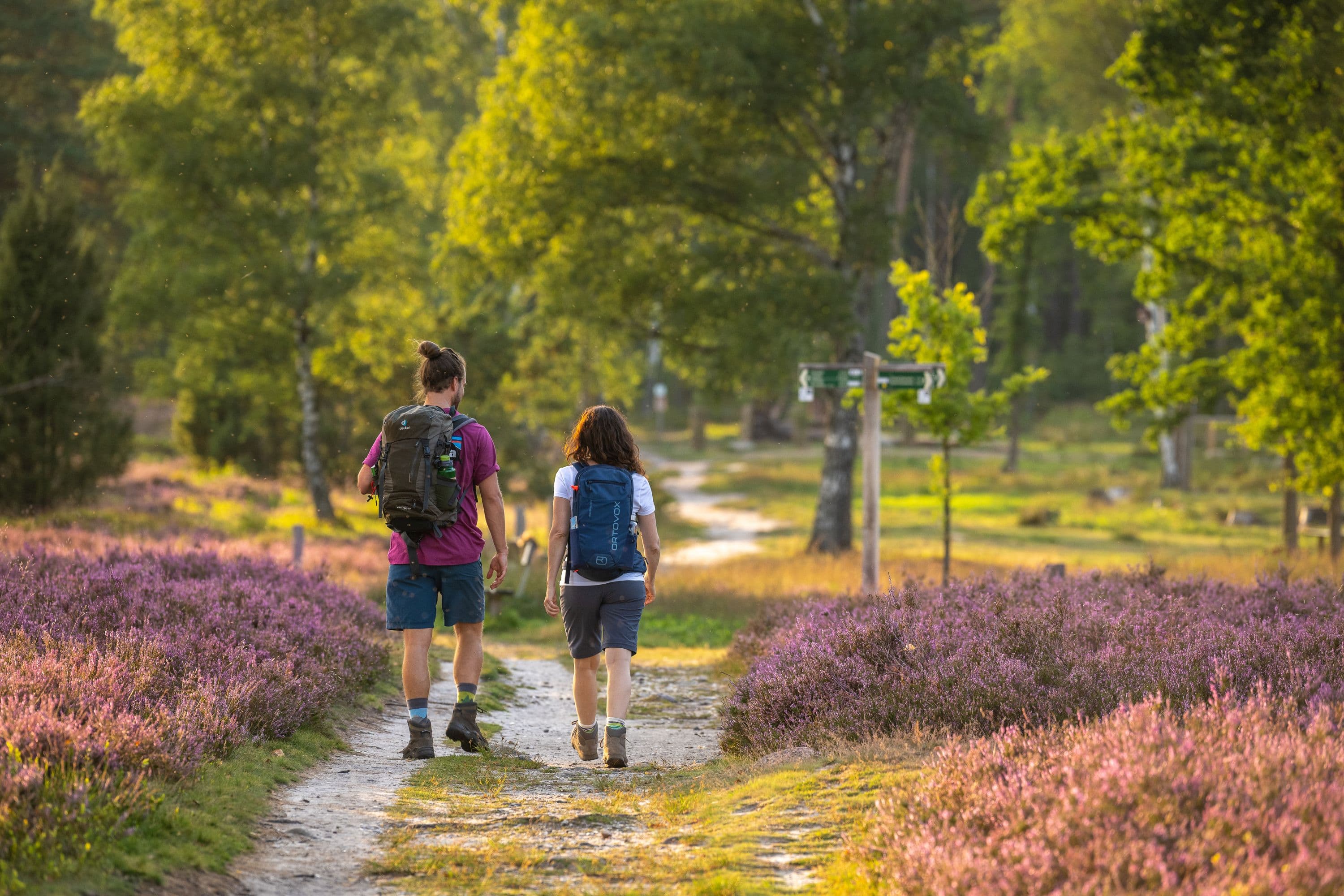 Büsenbachtal Handeloh Wanderer