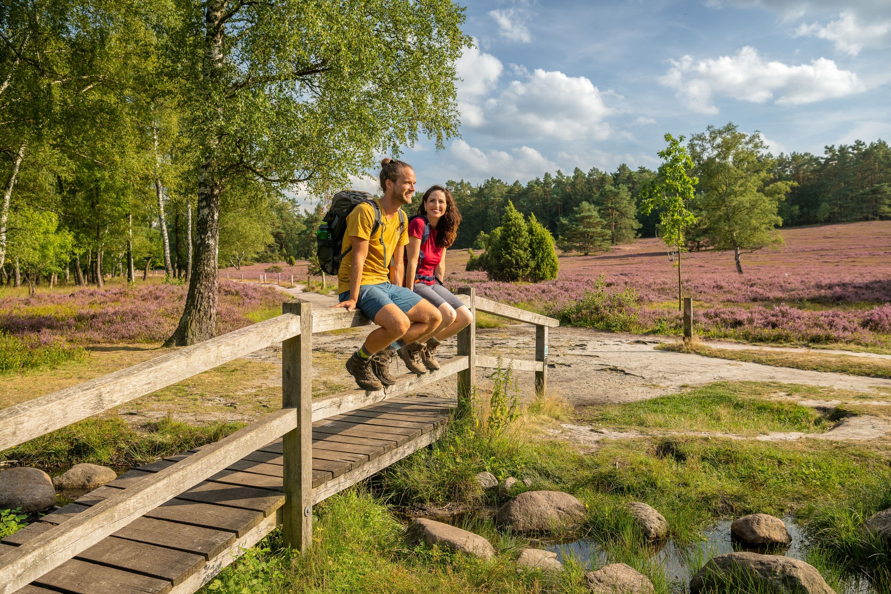 Büsenbachtal Handeloh Brücke Wanderer Heideblüte