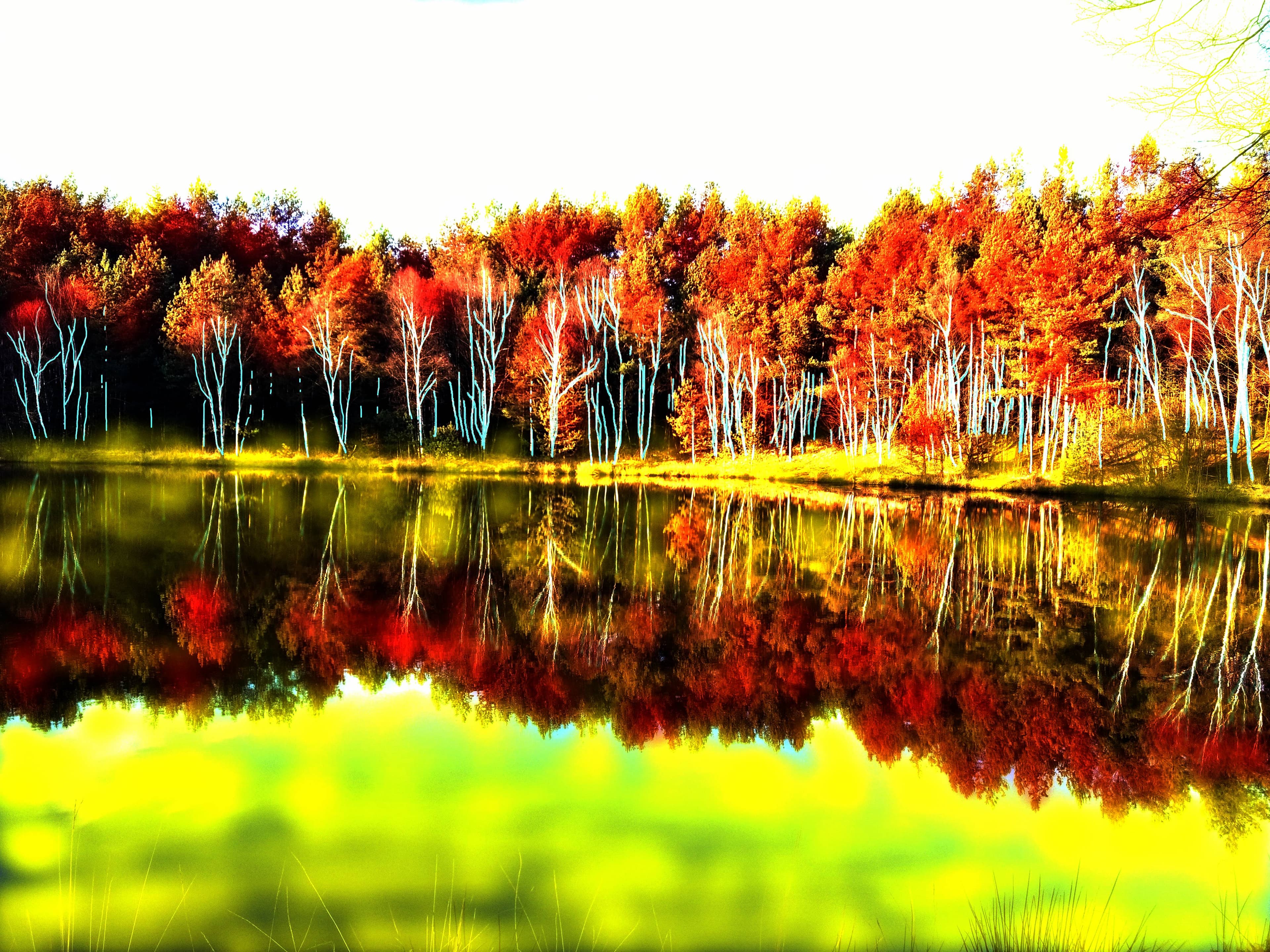 Einein gemaltes Bild: idyllischer See reflektiert herbstlich gefärbte Bäume, die in warmen Rottönen erstrahlen.