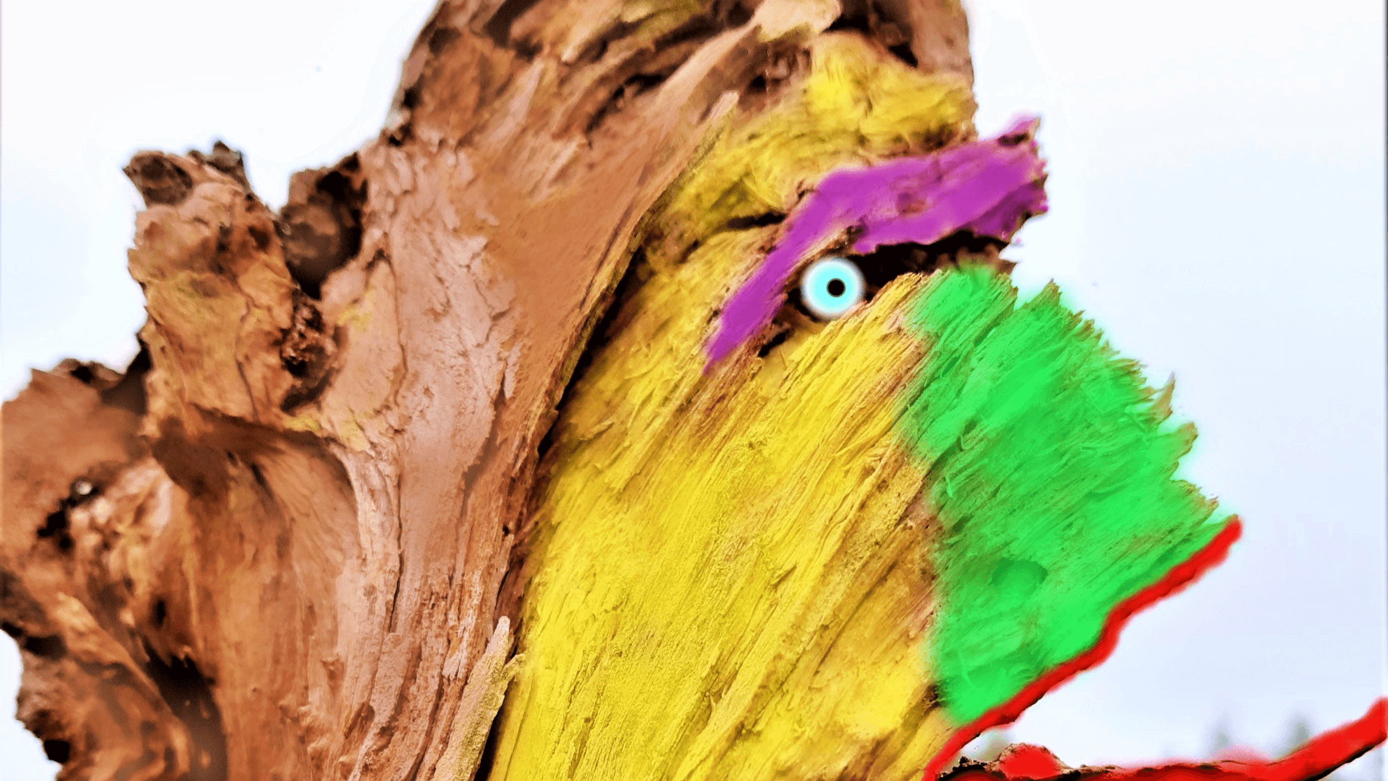 Ein bemalter Baumstumpf zeigt ein farbig gestaltetes Gesicht mit bunten gelben, grünen, violetten und roten Zügen, die einem Kunstwerk ähneln, inmitten einer Landschaft.