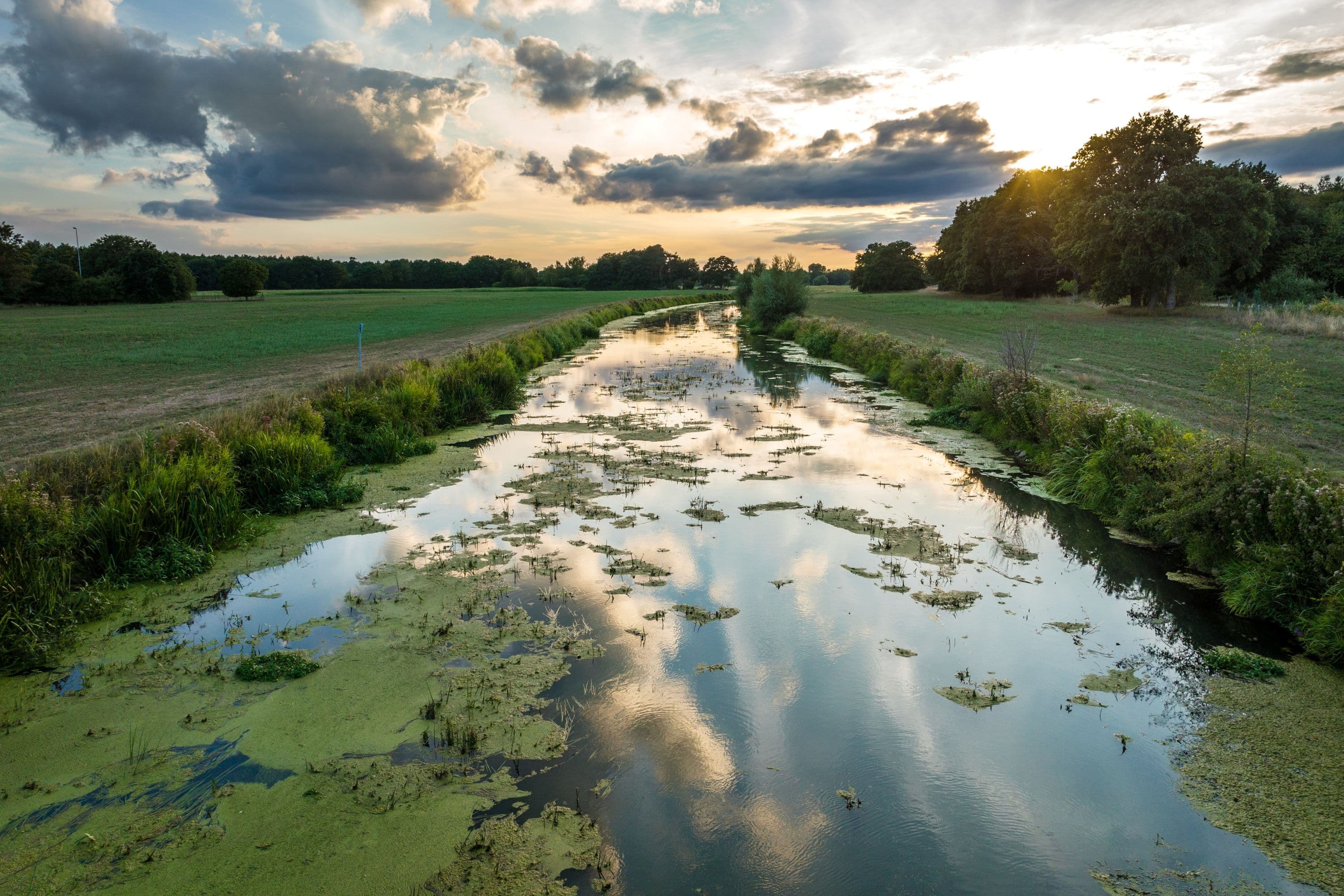 Der Fluss Aller bei Wienhausen in der Südheide