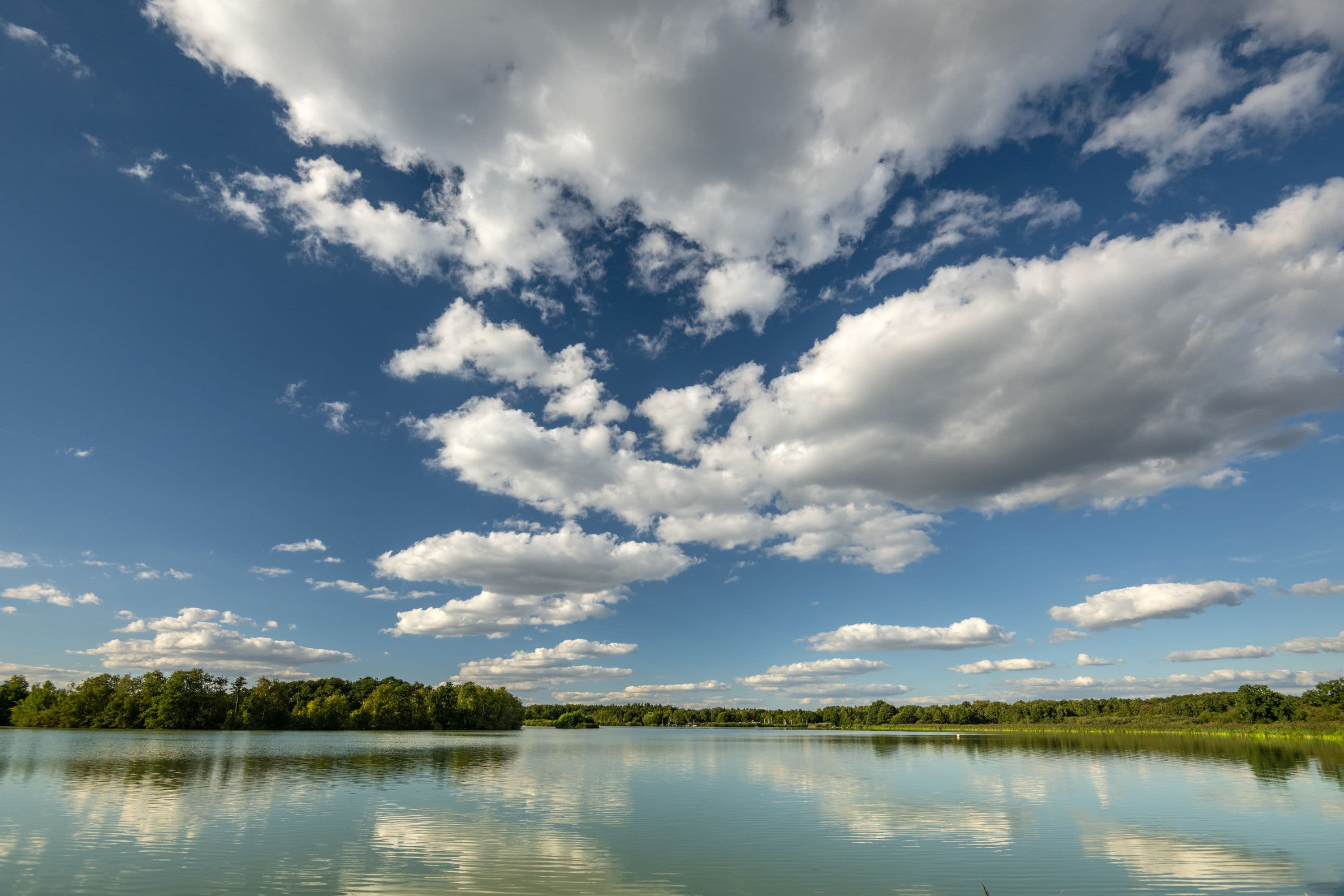 Meissendorfer Teiche Südheide