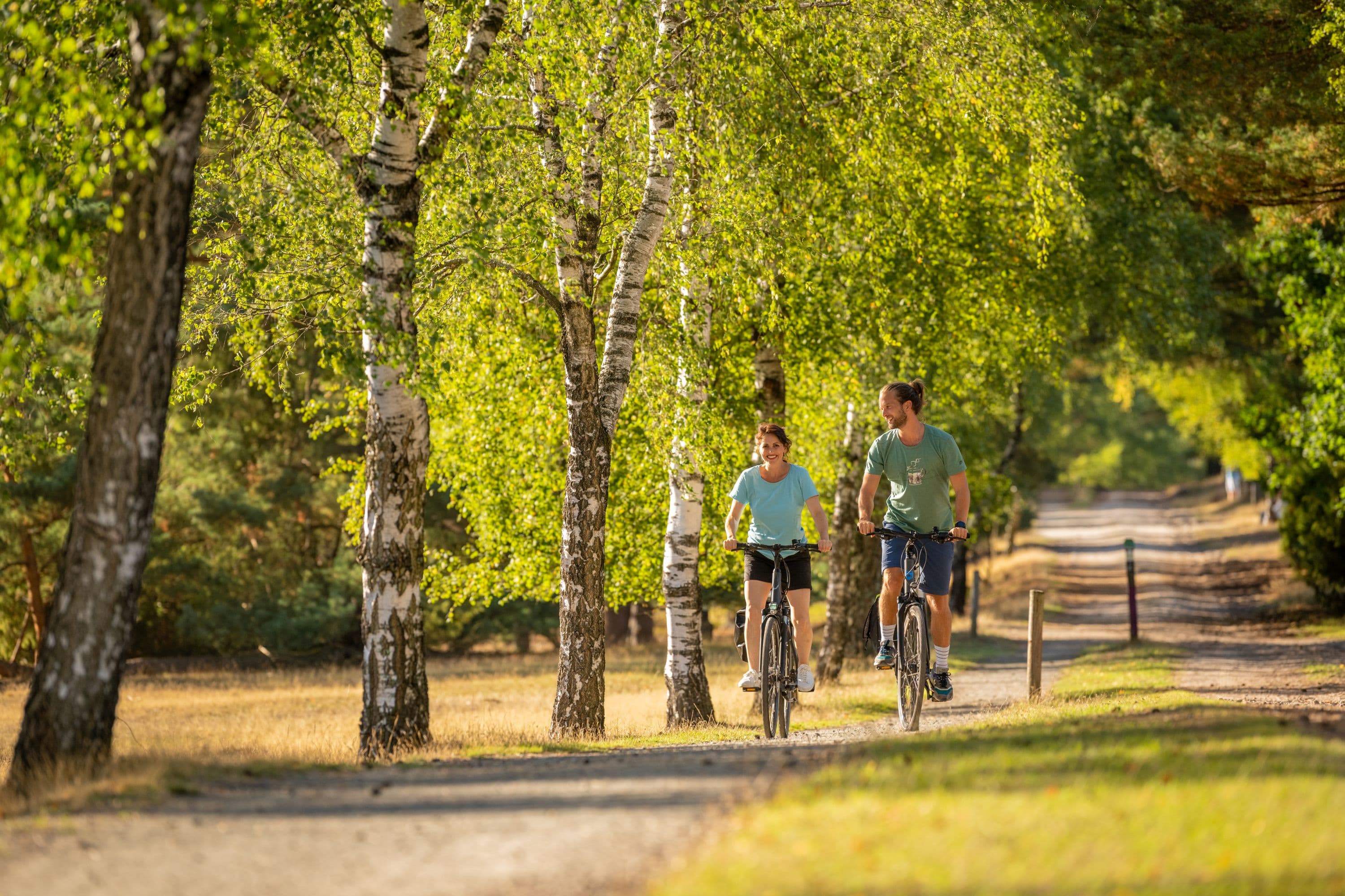 Fahrradfahren Misselhorner Heide Hermannsburg Südheide