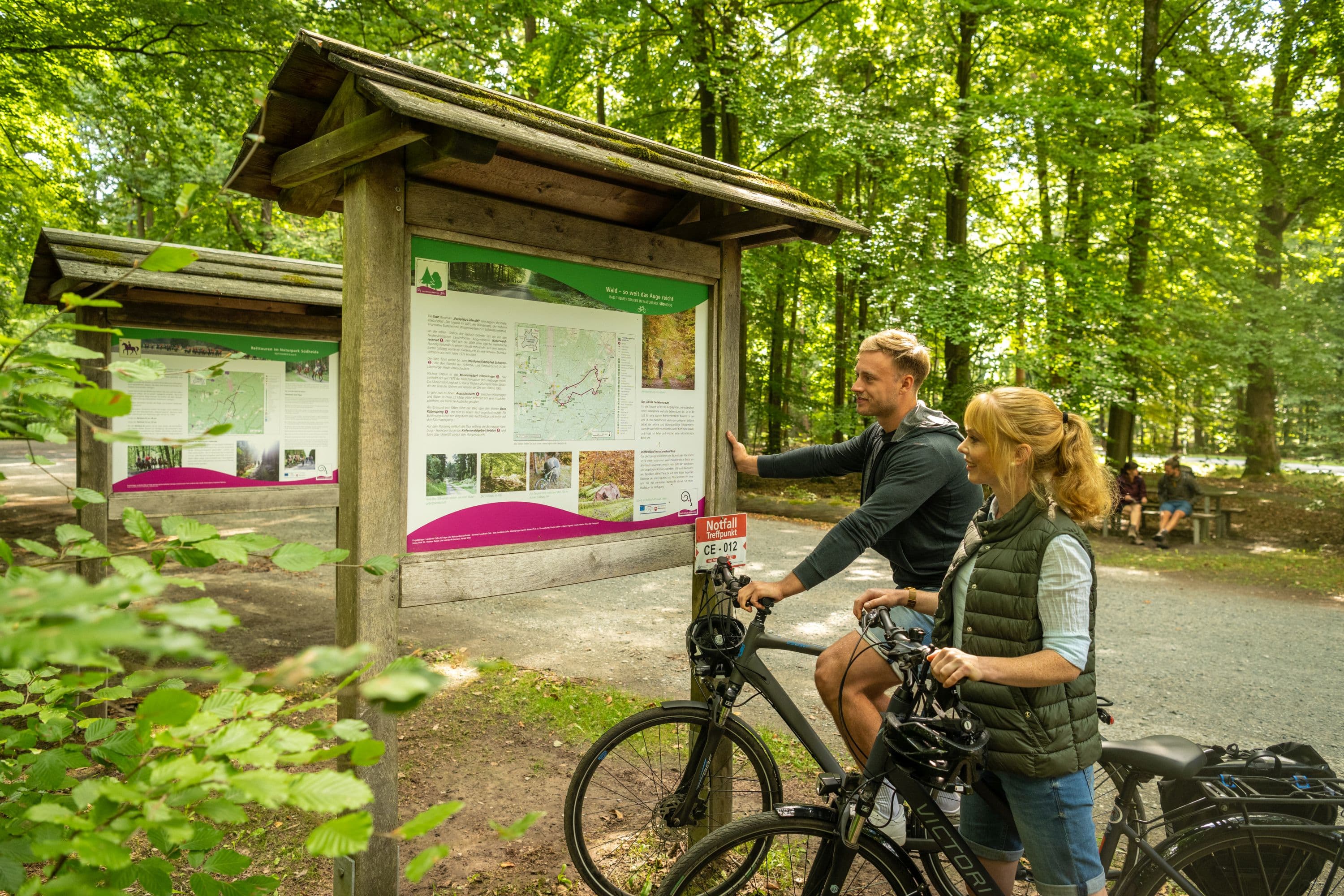 Fahrradfahren Lüßwald Unterlüß Südheide
