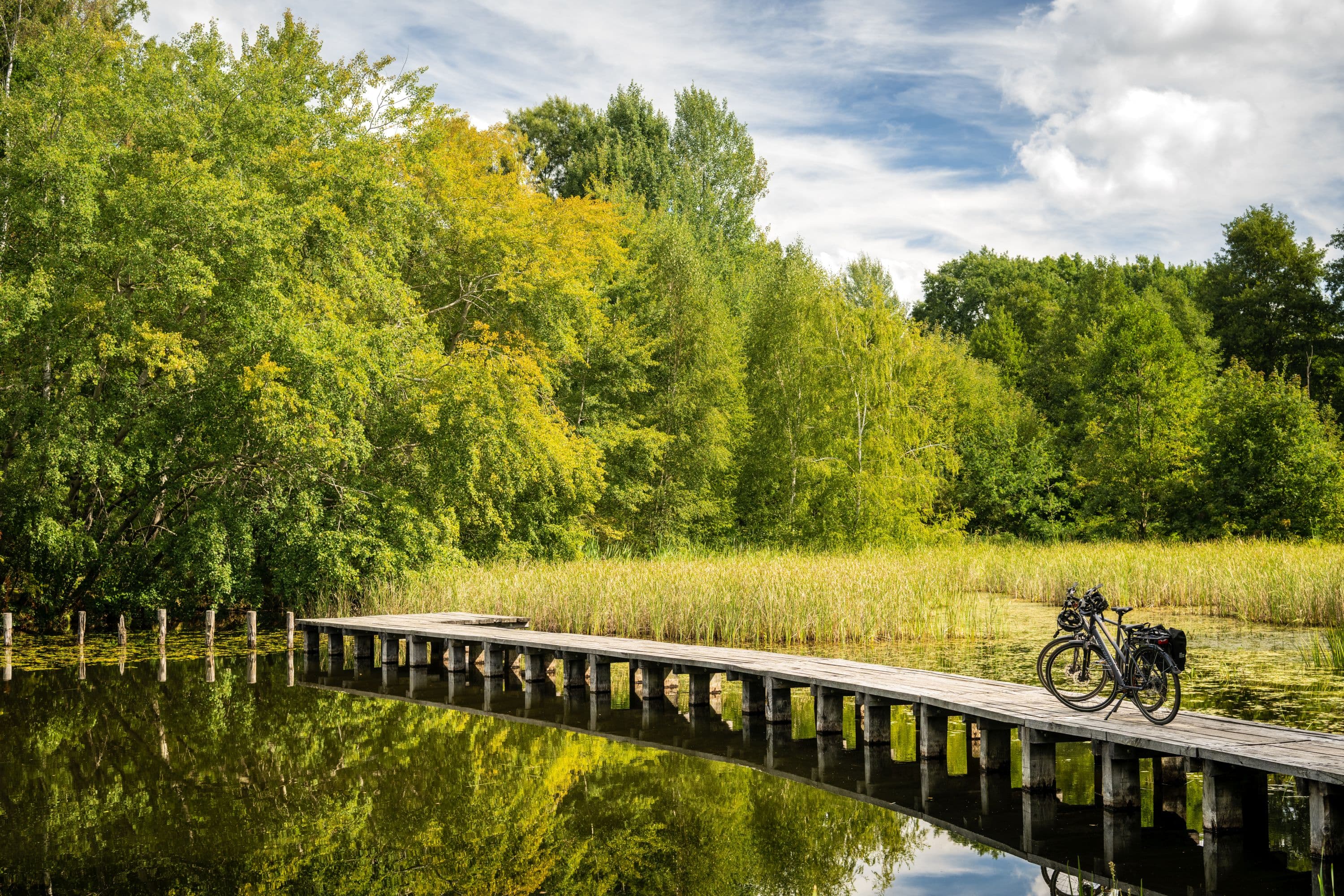 Steg Badesee Bargfeld Eldingen Südheide