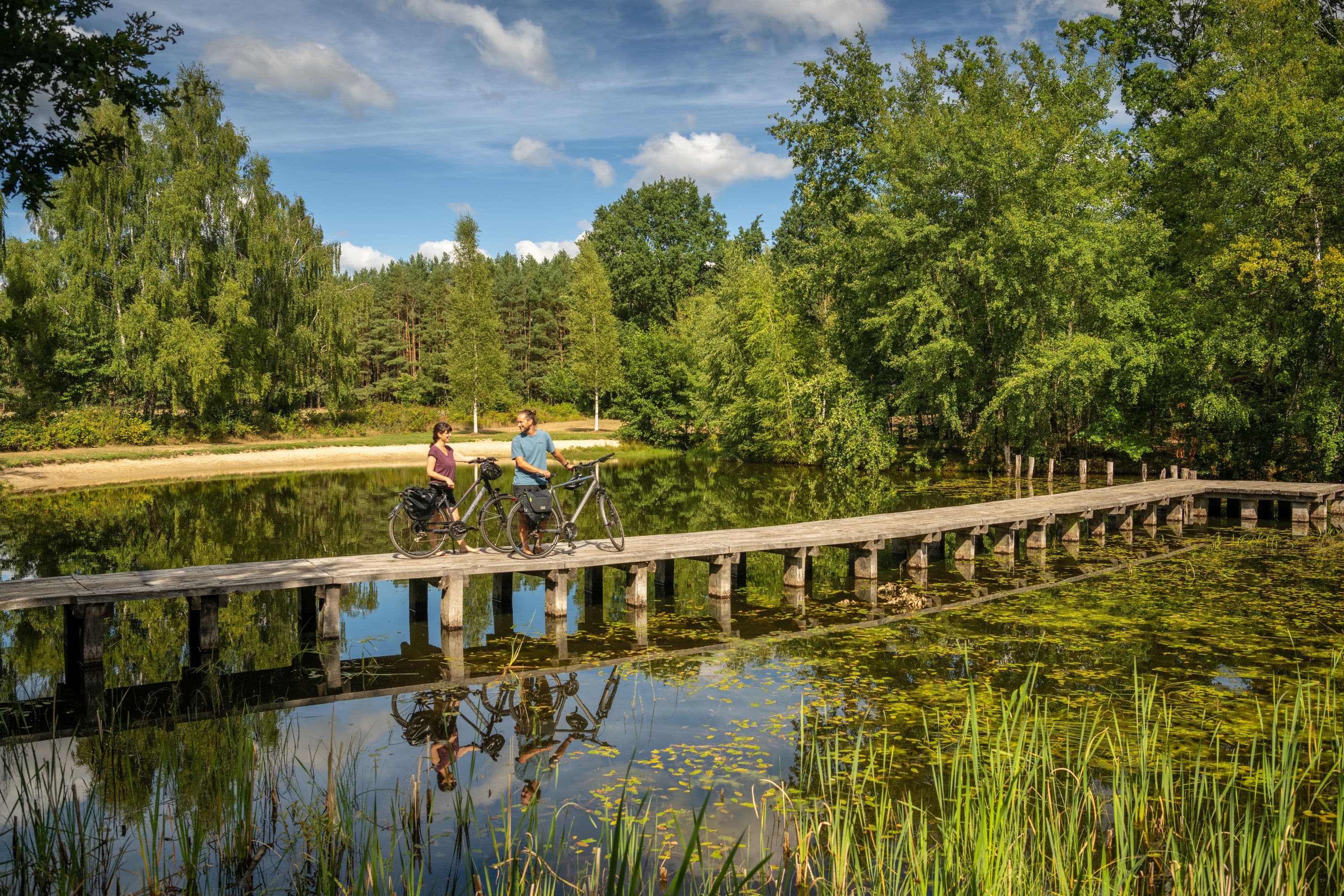 Steg Badesee Bargfeld Eldingen Südheide