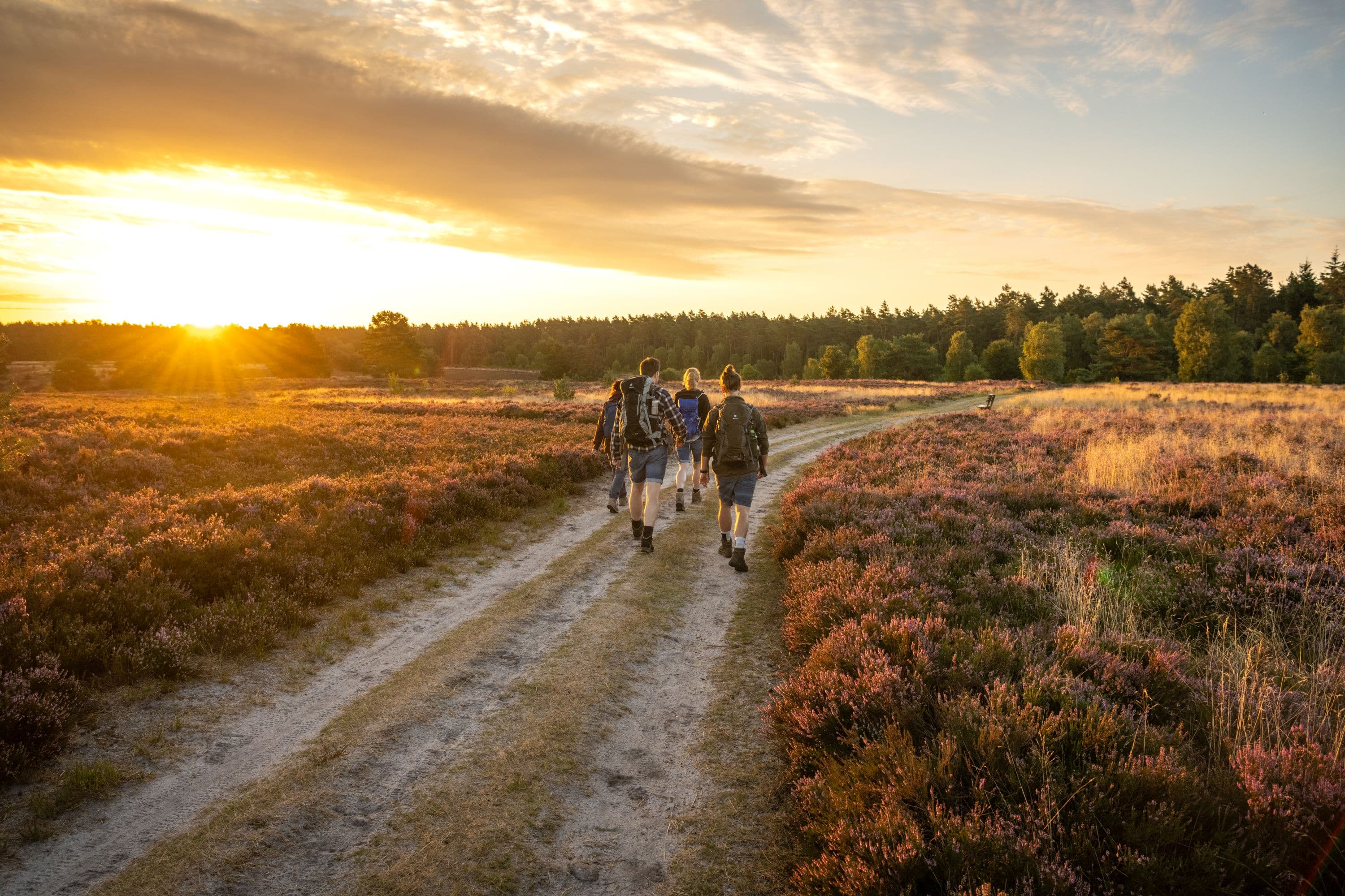 Töps Heide Hanstedt Wandern Sonnenuntergang