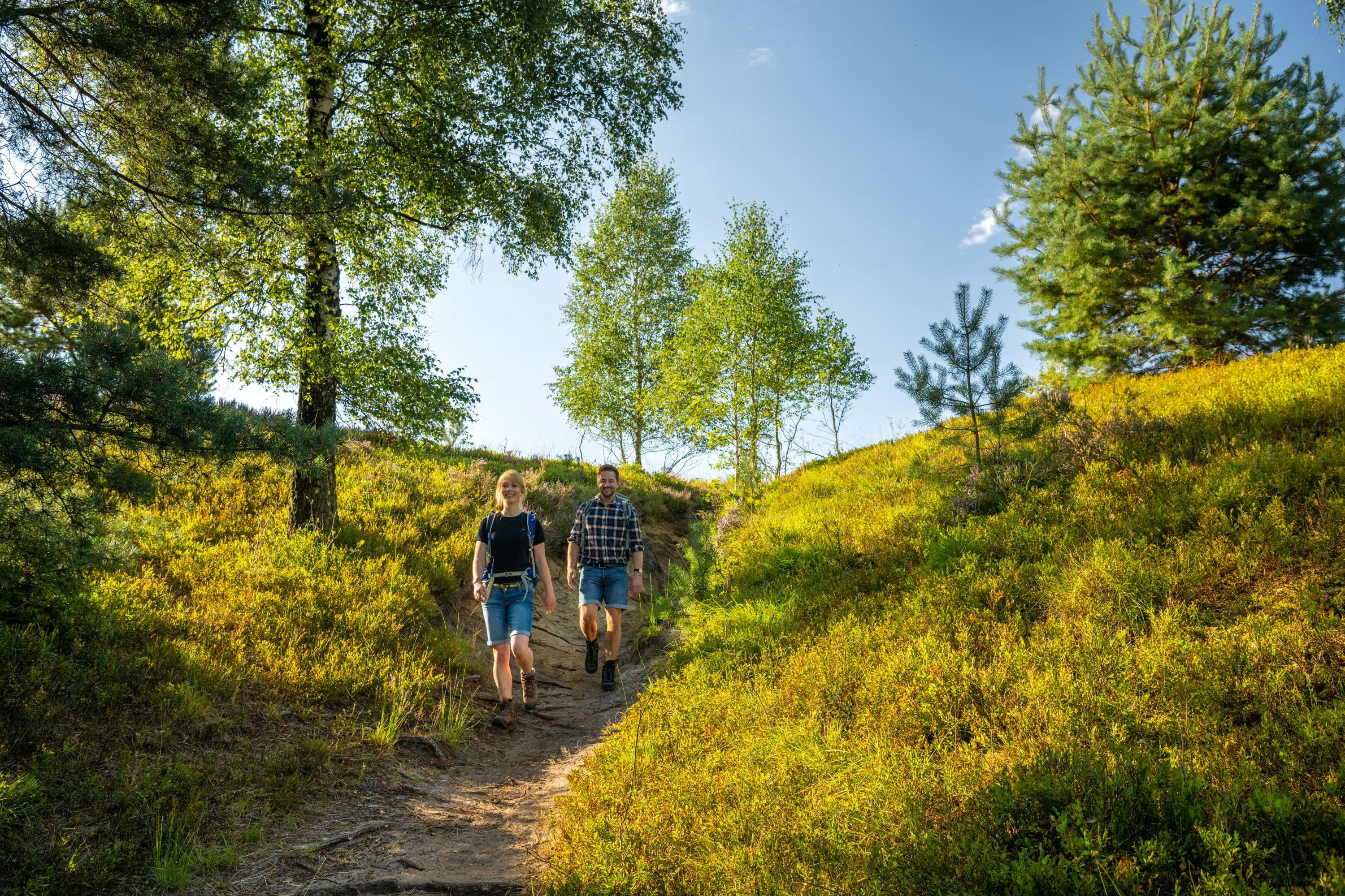 Töps Heide Hanstedt Wald Wandern