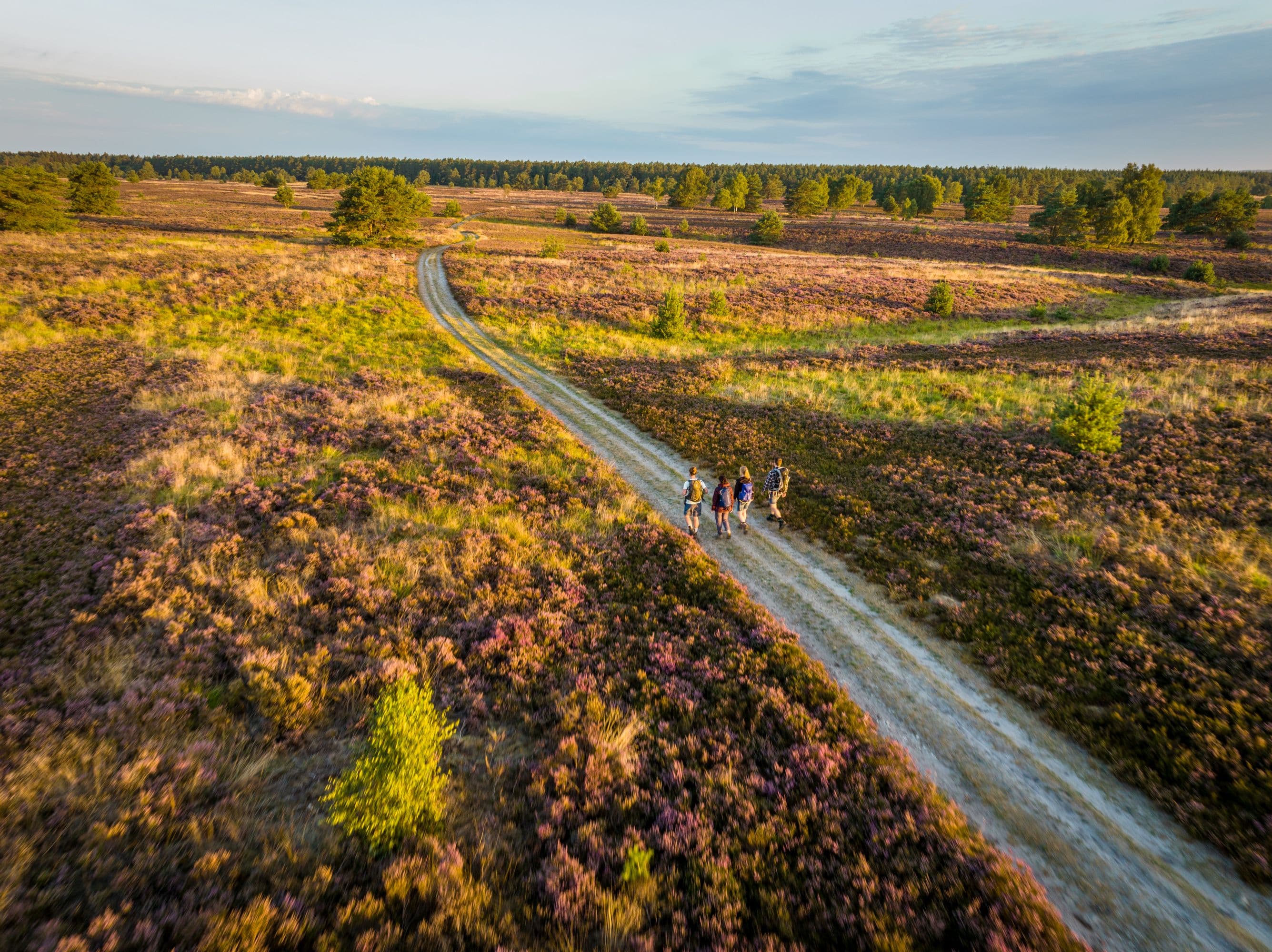 Töps Heide Hanstedt Wandern Drohne