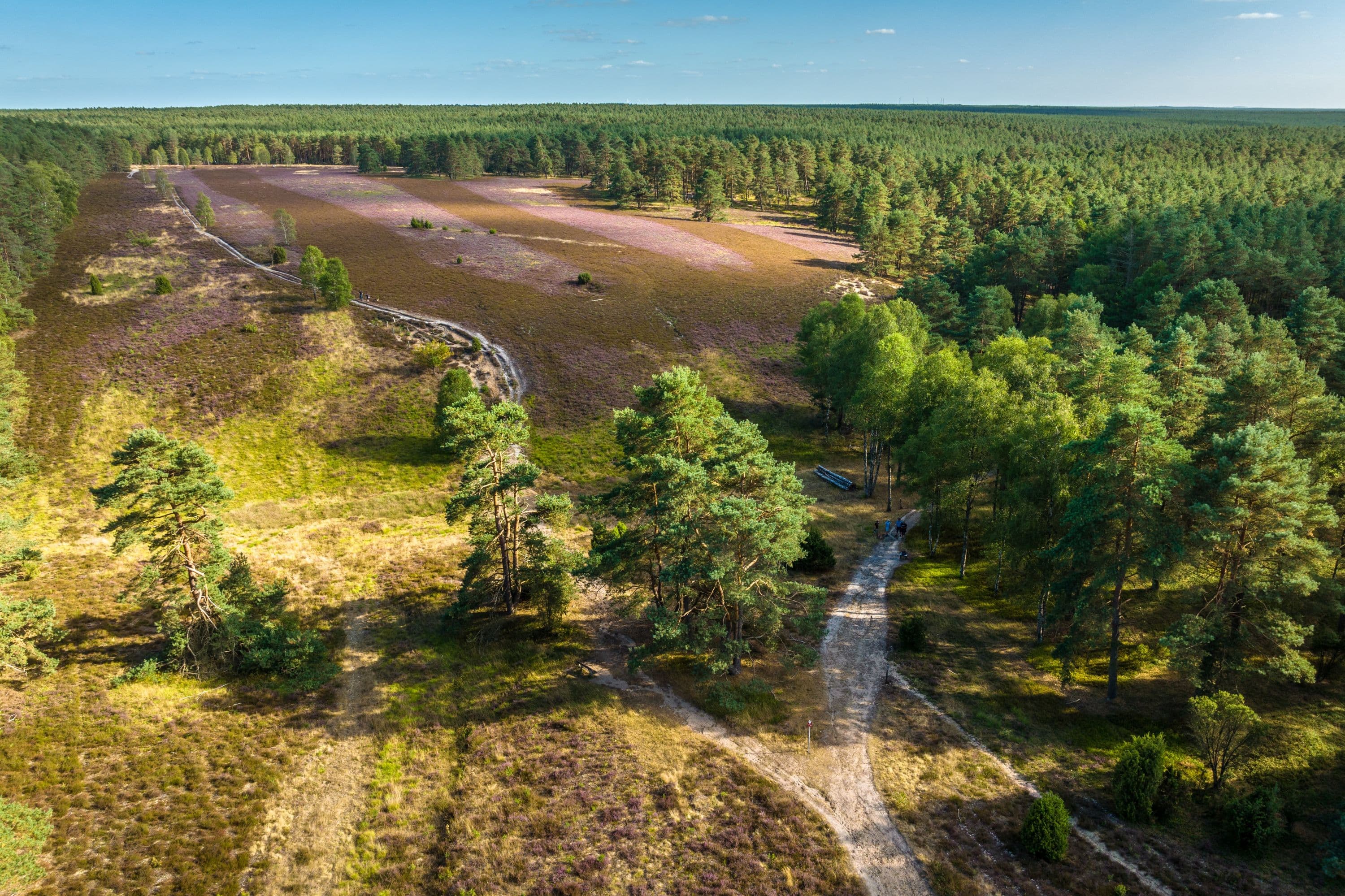Wandern Tiefental Hermannsburg Südheide