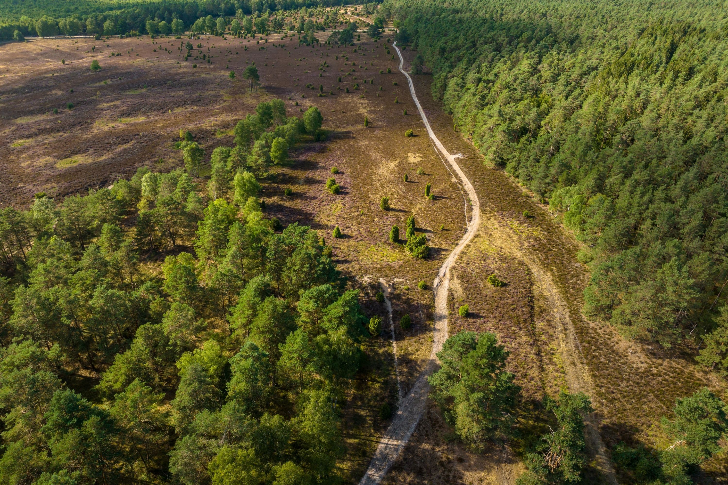 Tiefental Hermannsburg Südheide