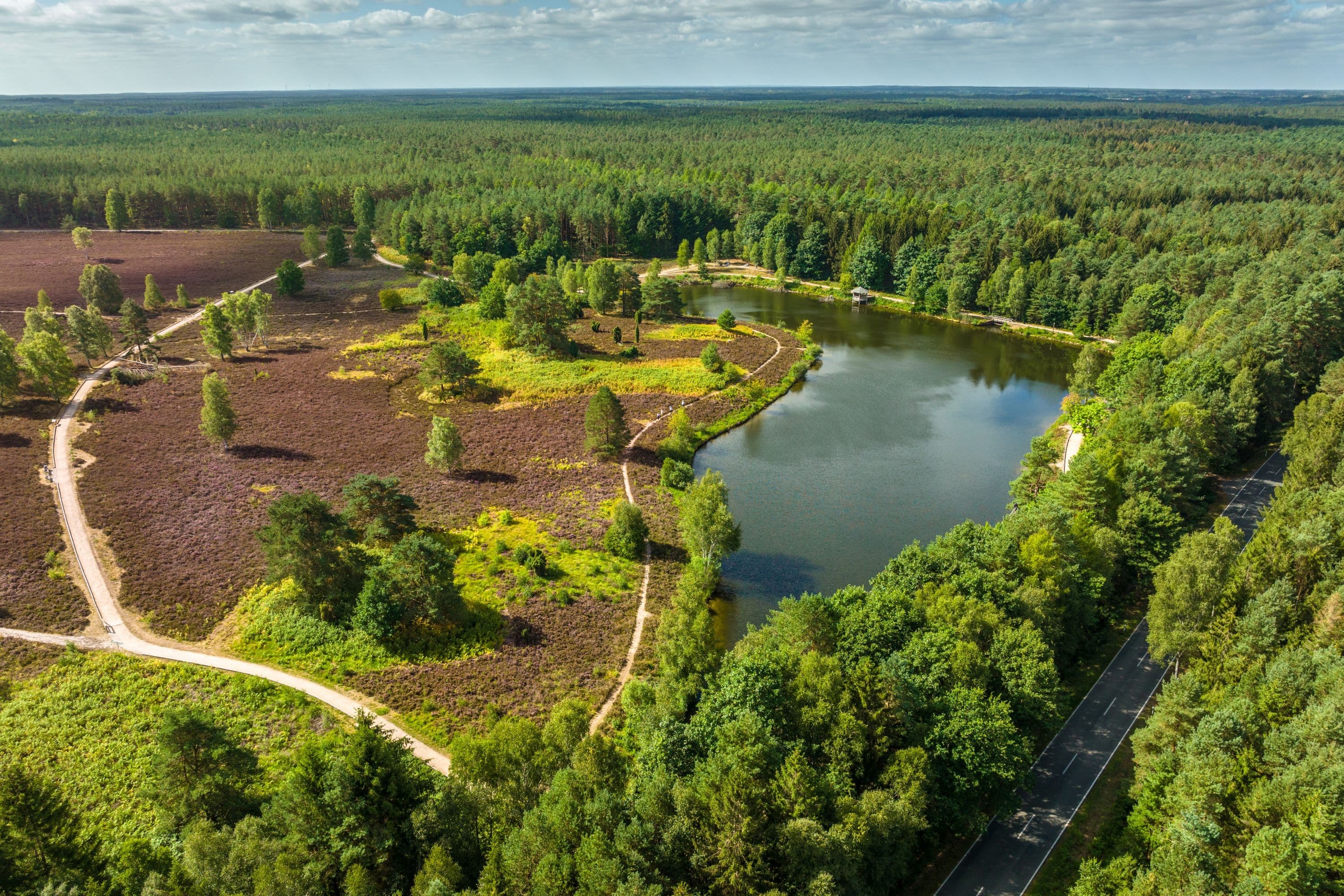 Angelbecksteich Hermannsburg Südheide