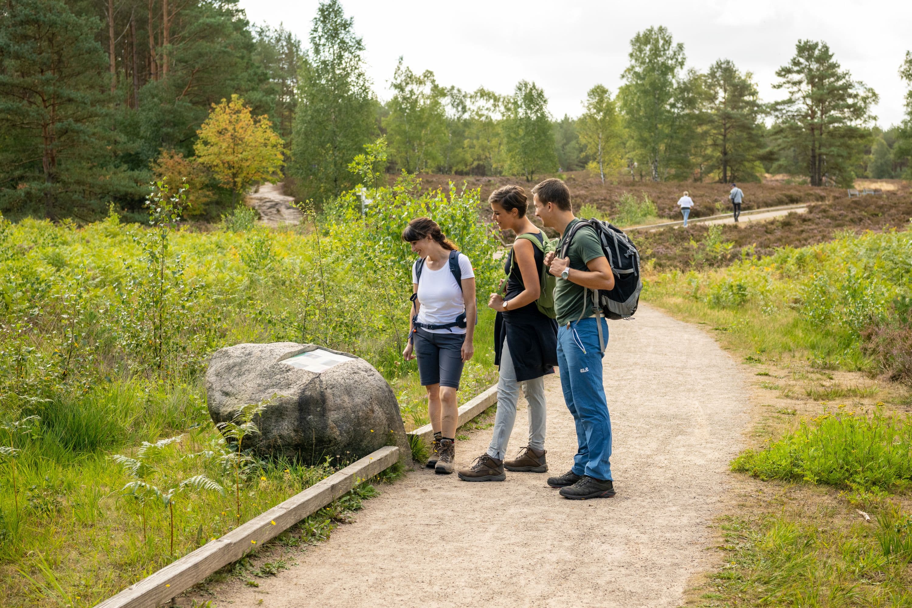 Infotafel Angelbecksteich Hermannsburg Südheide