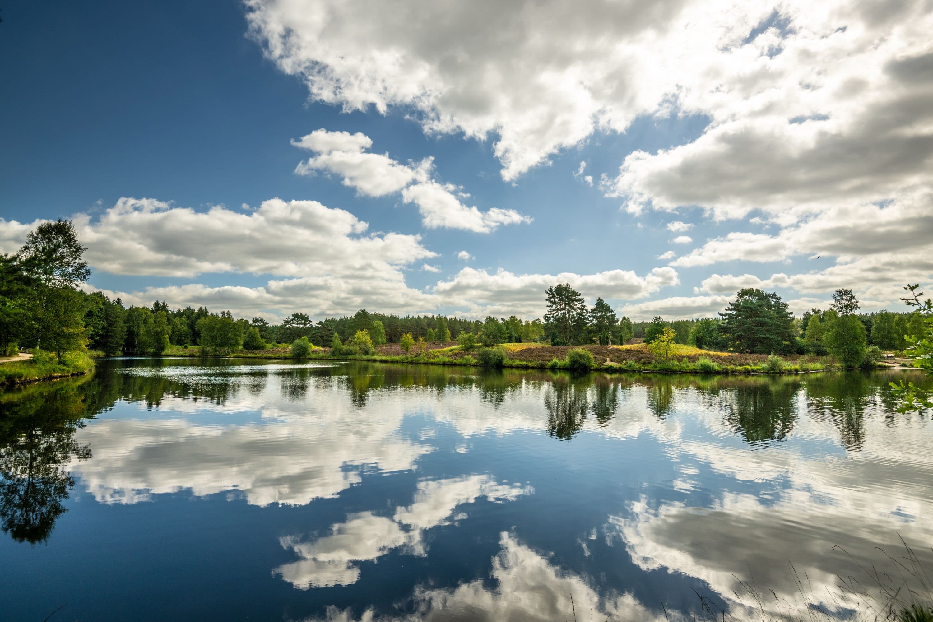 Angelbecksteich Hermannsburg Südheide