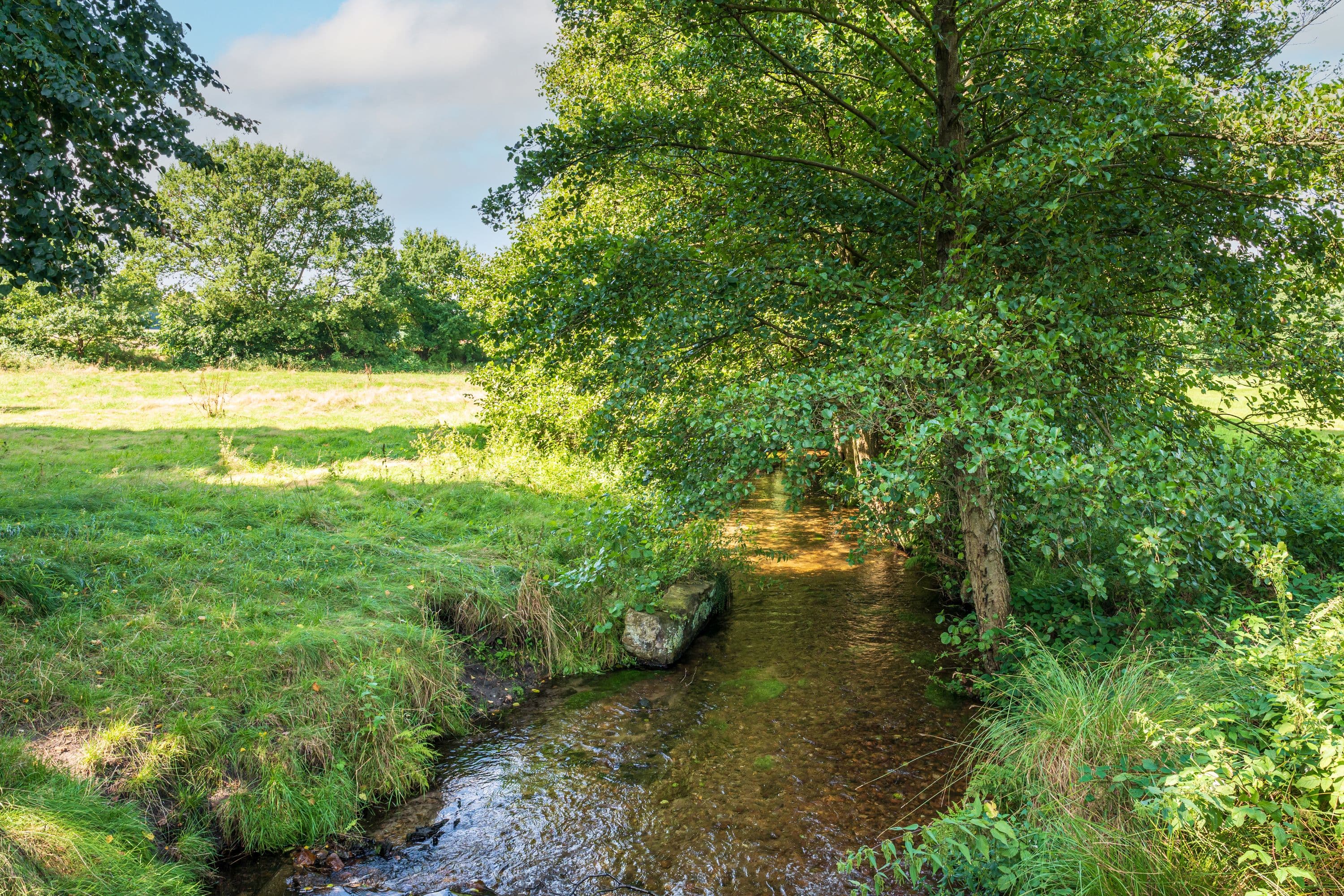 Wandern über den Weesener Bach