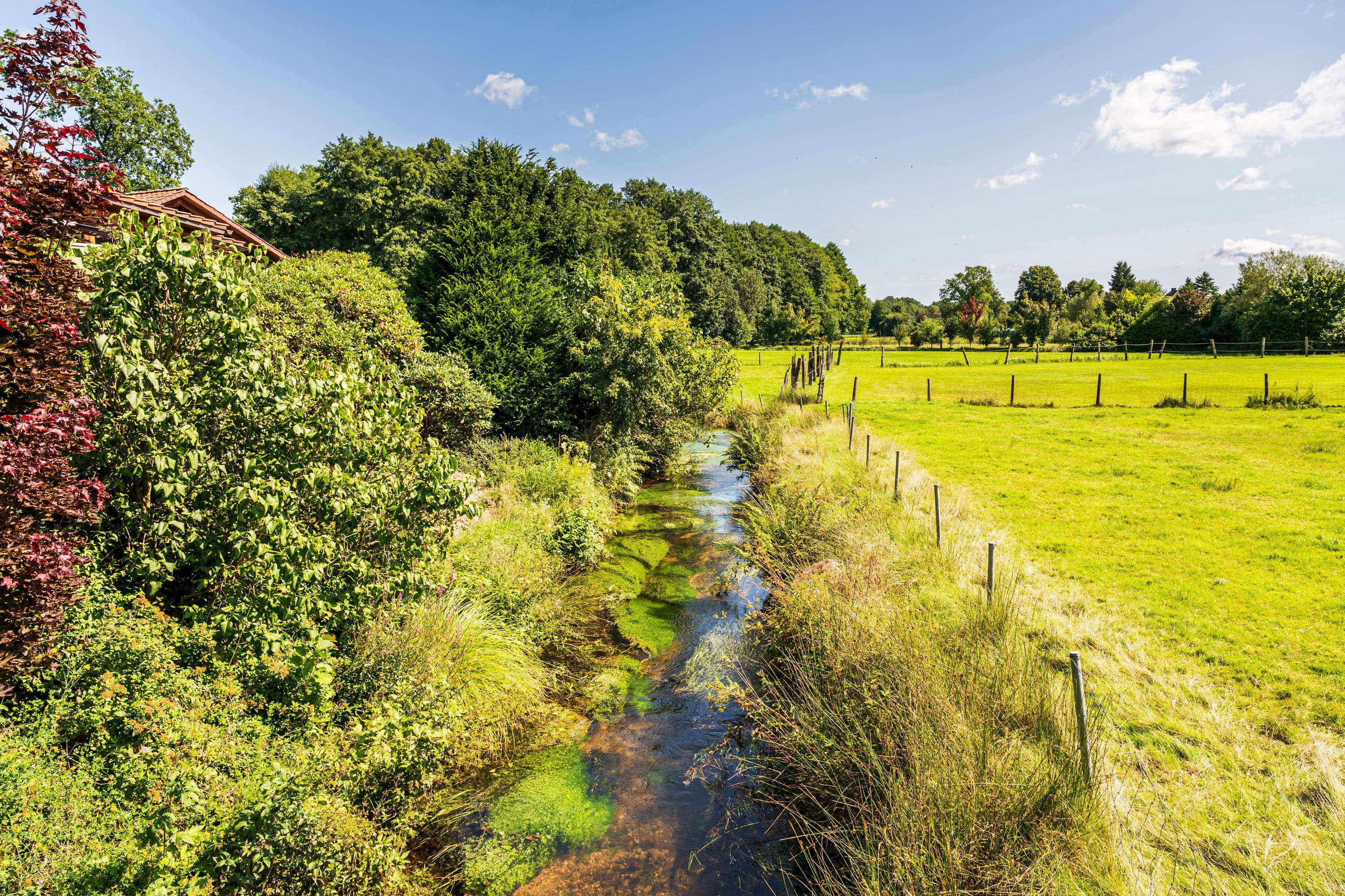 der weesener bach schlängelt sich bei hermannsburg durch die landschaft