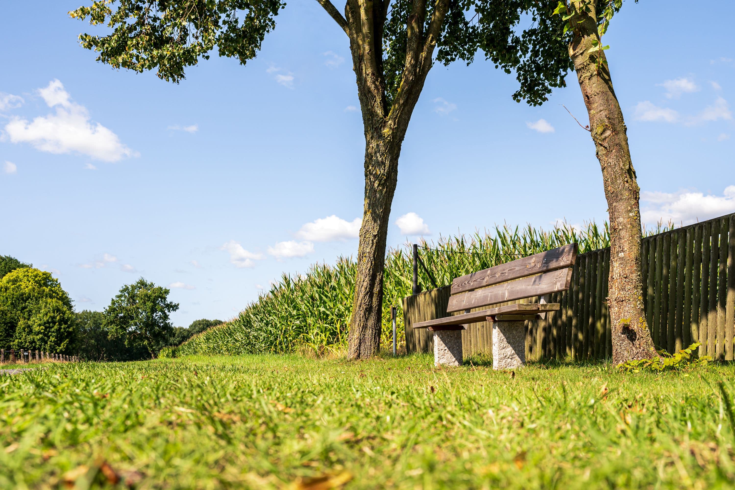 Der Rundwanderweg bietet idyllische Rastmöglichkeiten