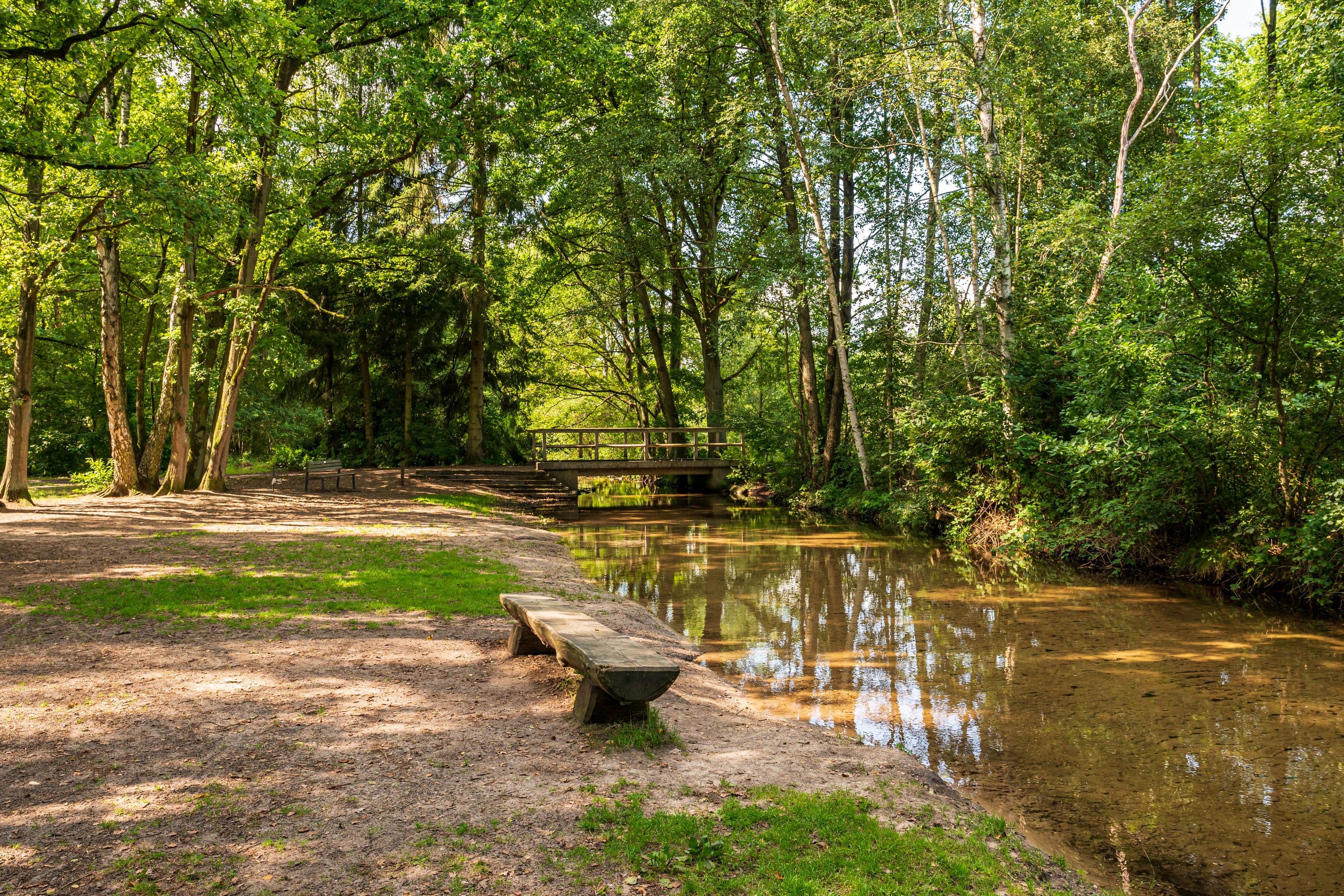 Wanderpause am Weesener Bach in herrlicher Natur