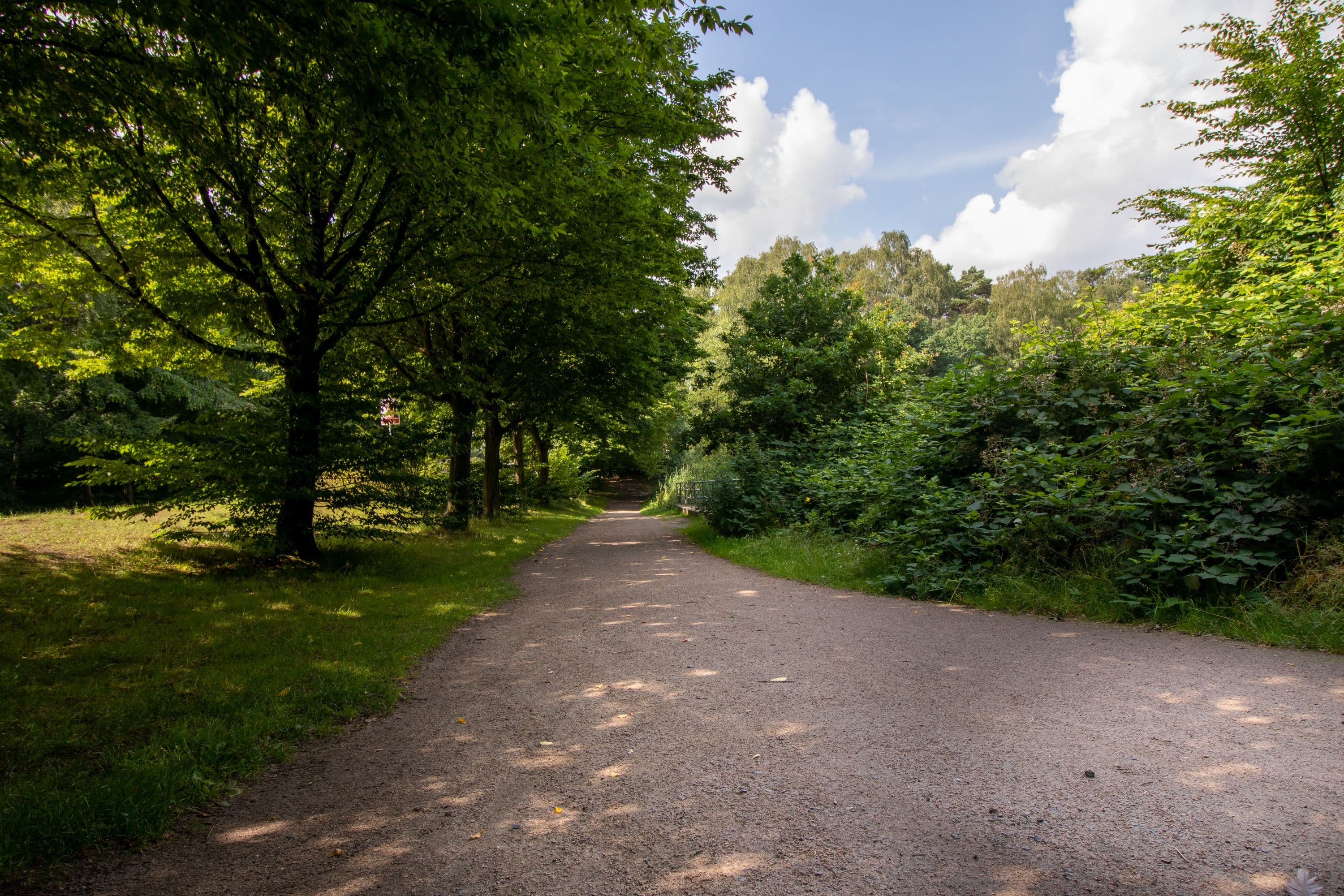 Stadtteich Buchholz in der Nordheide