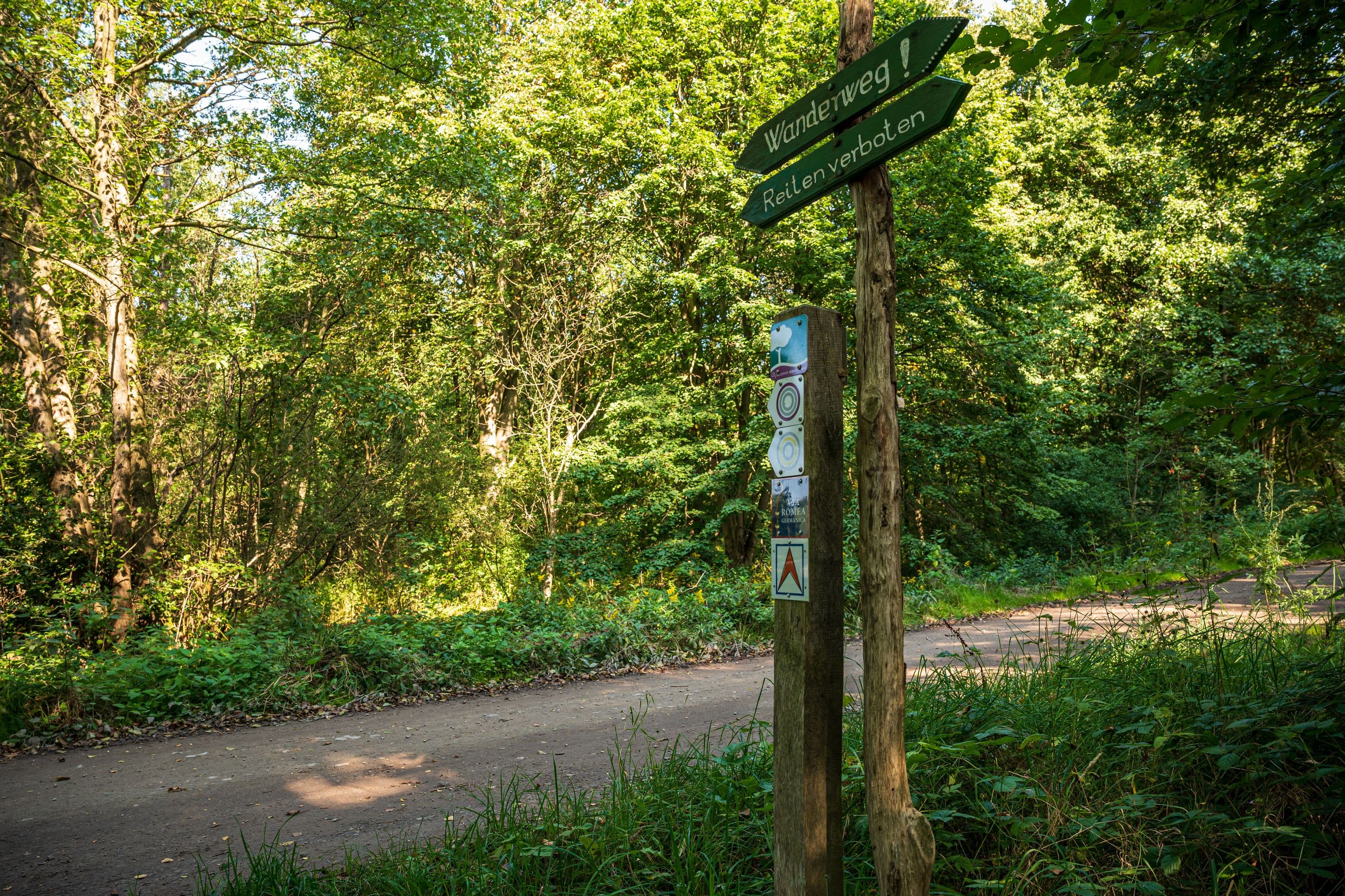 Wandern durch dichte Waldgebiete der Lüneburger Heide