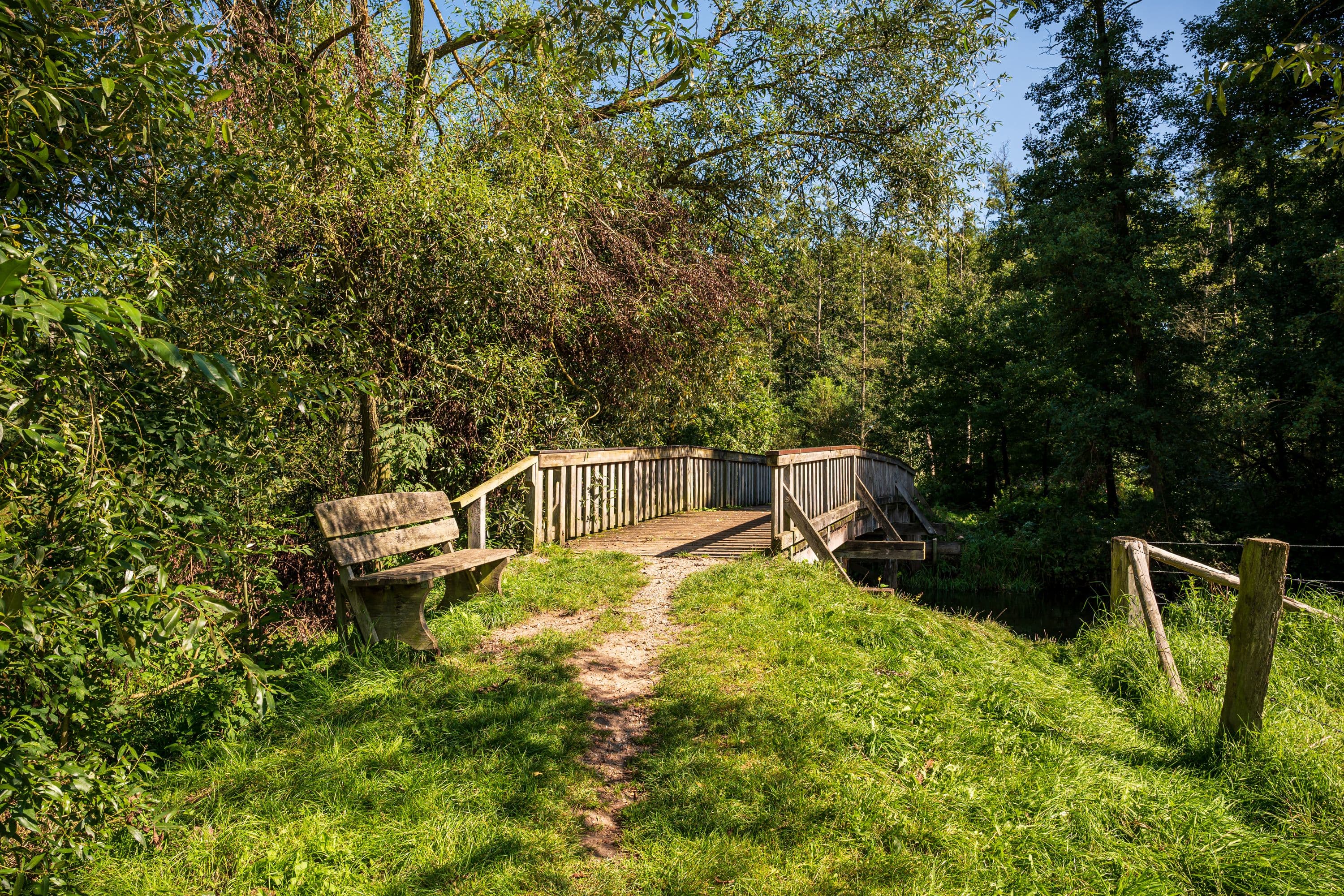 Wandern am Heidefluss Örtze