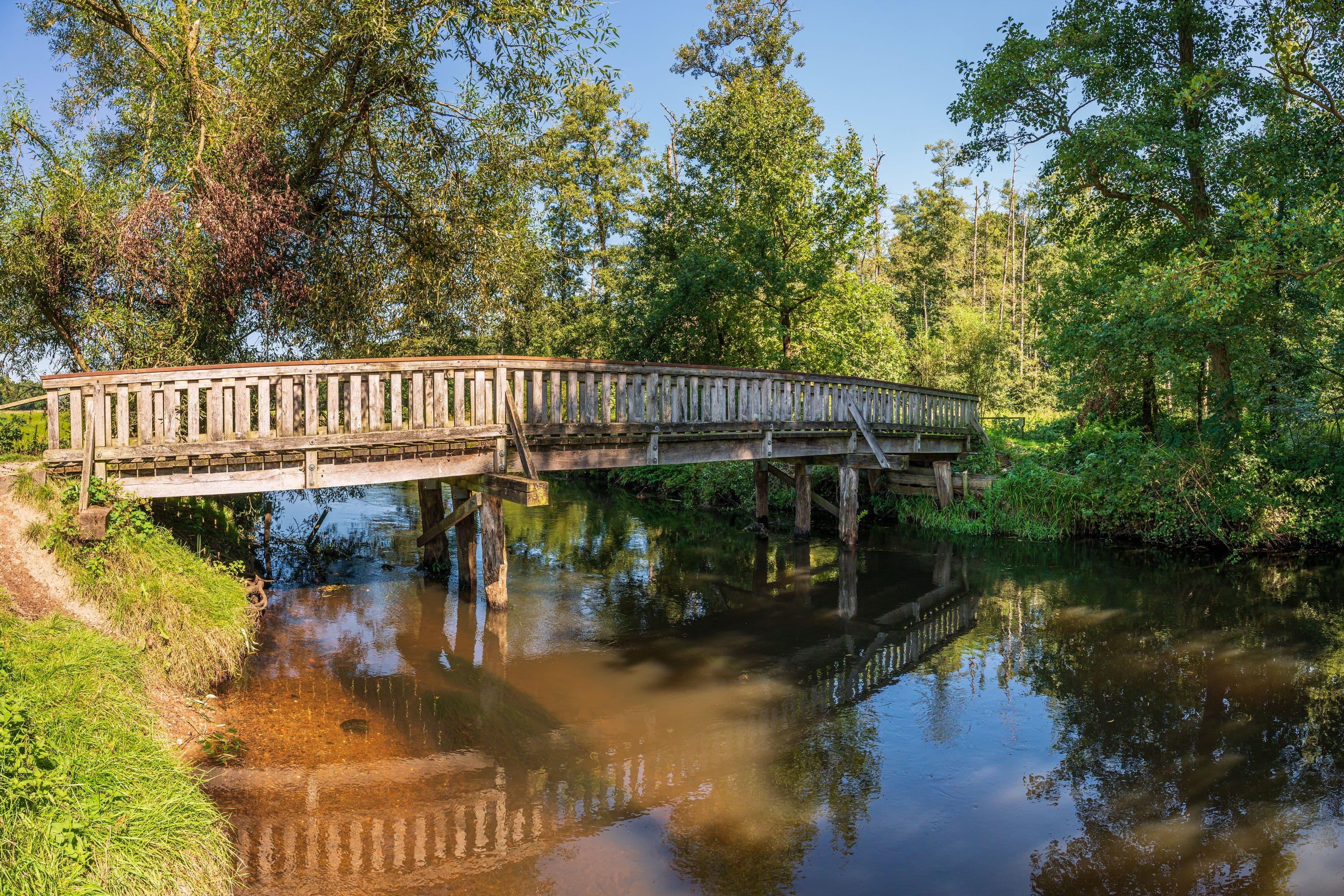 Wandern entlang des Heideflusses Örtze
