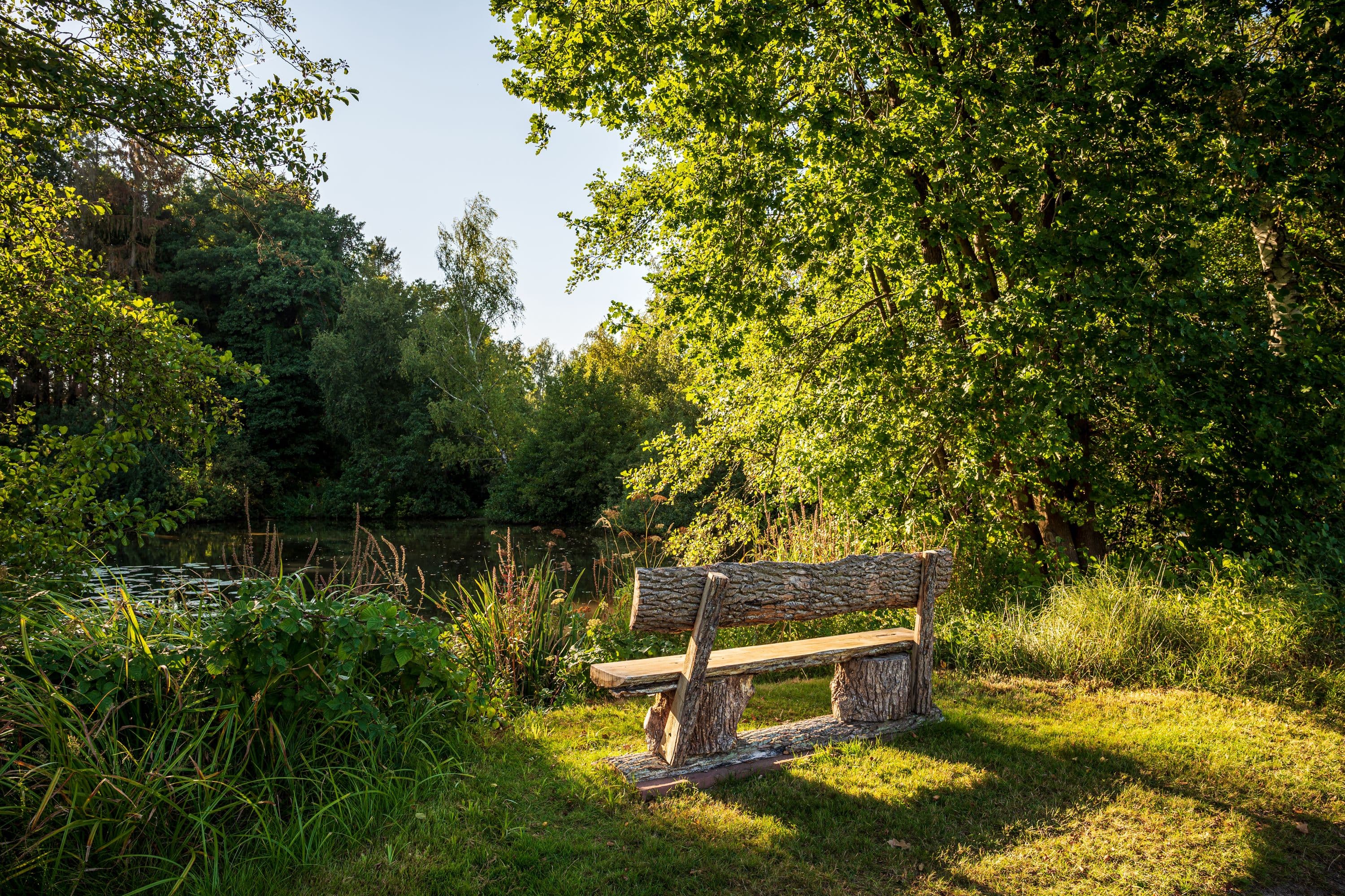Wandern entlang des Heideflusses Örtze