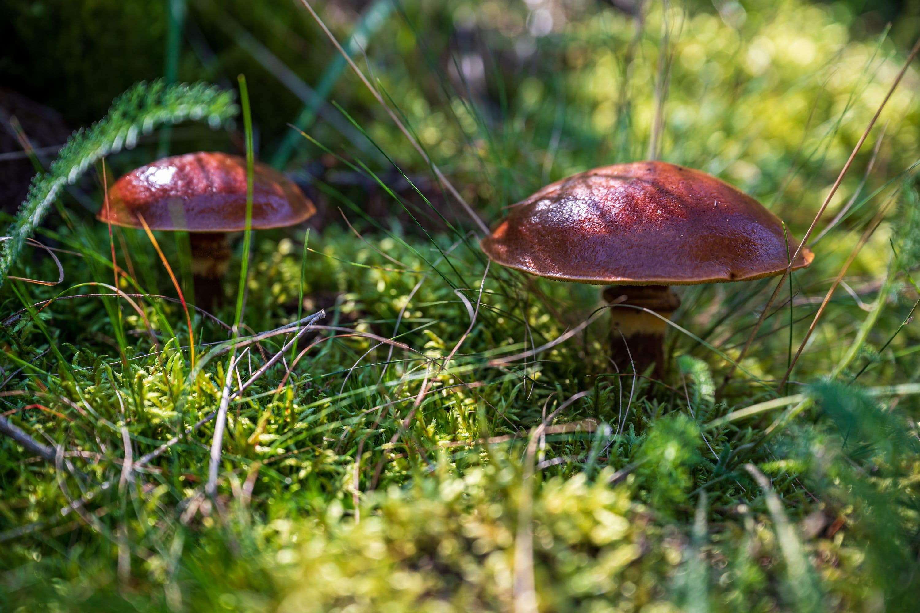 Entlang des Wanderweges gibt es viel zu entdecken