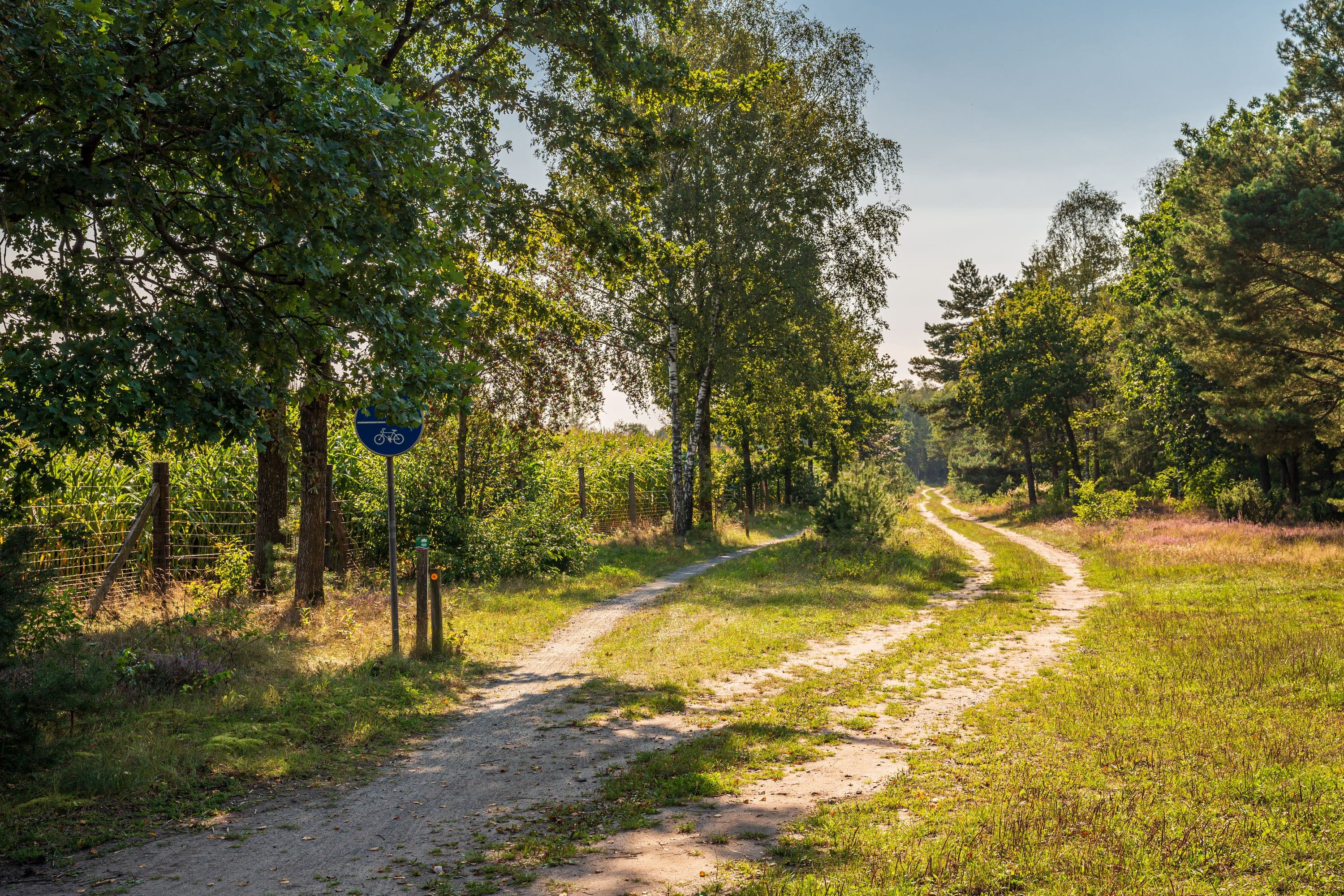 Wandern auf idyllischen Pfaden durch die Natur